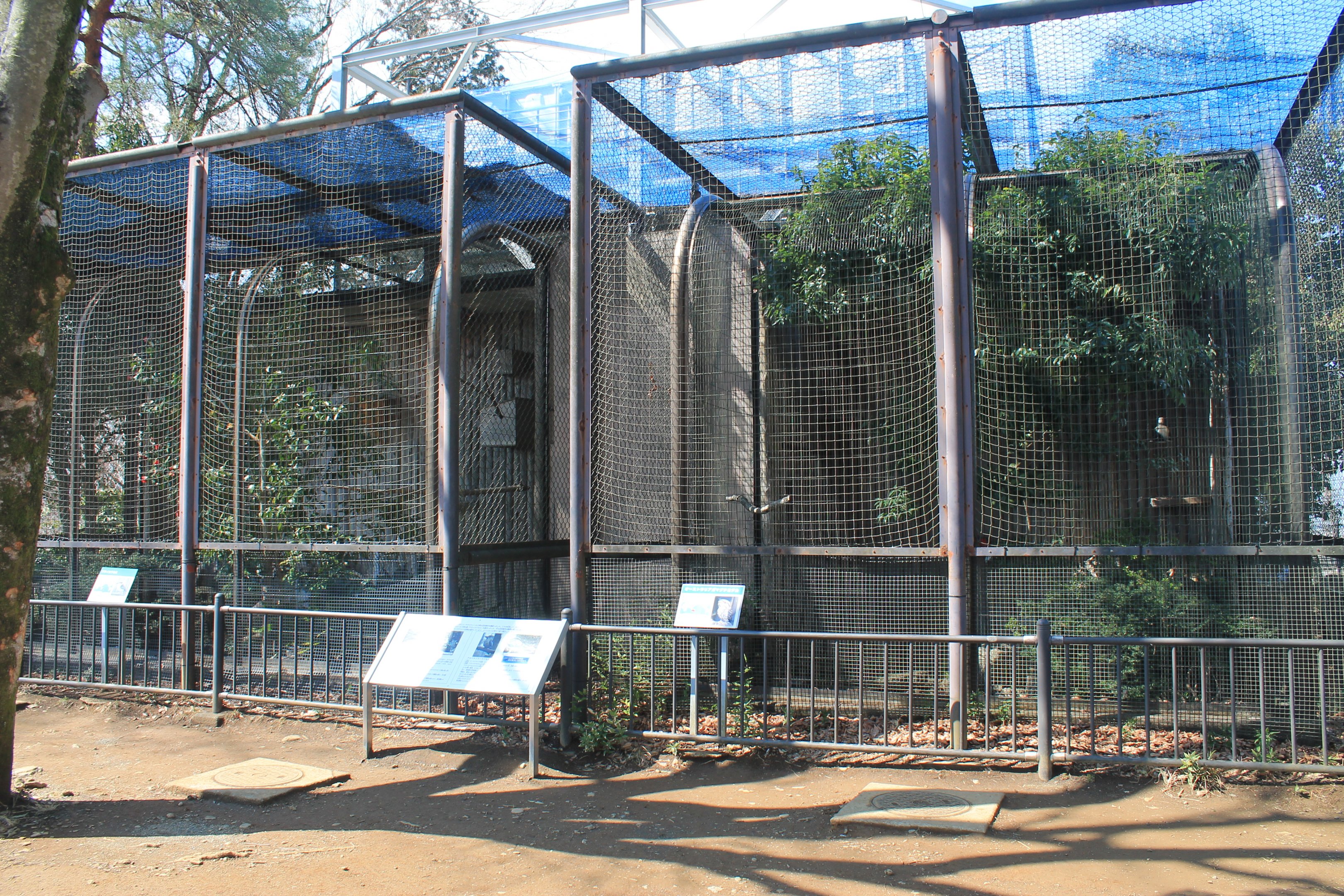 Australian aviaries