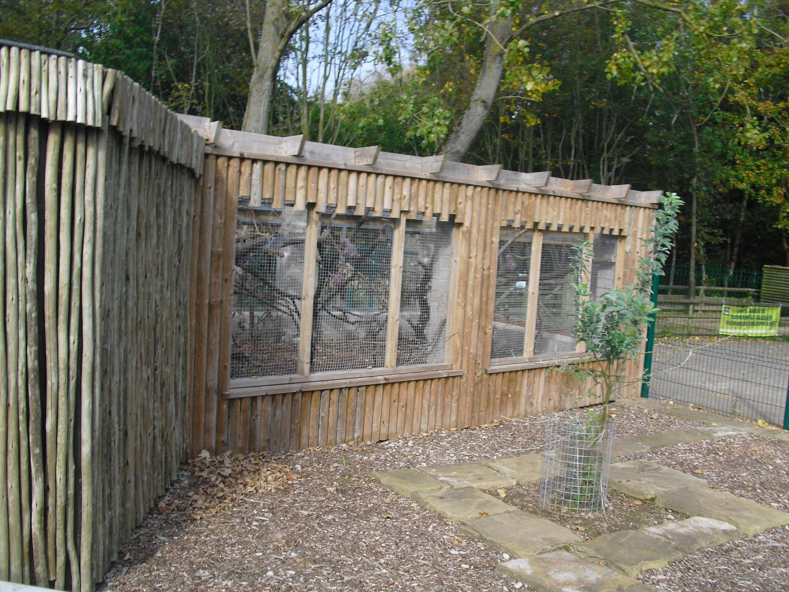 Australian Aviary - 01/10/2011