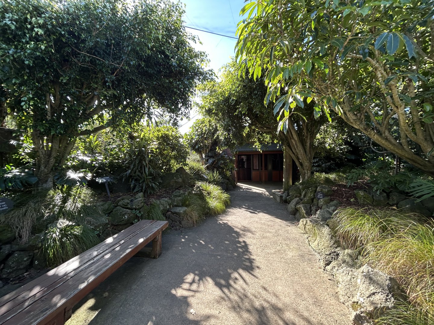 Australian Aviary #1 - Australian Bush Track