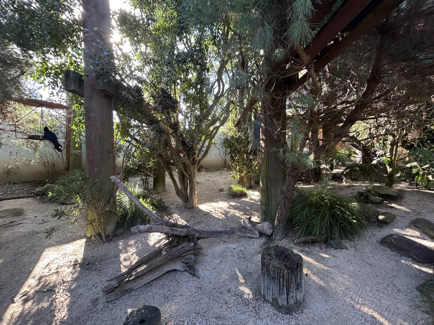 Australian Aviary #2 - Australian Bush Track