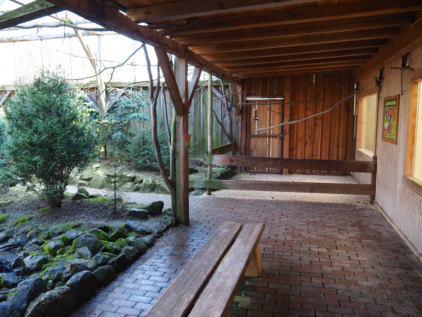 Australian aviary, 2019-03-30