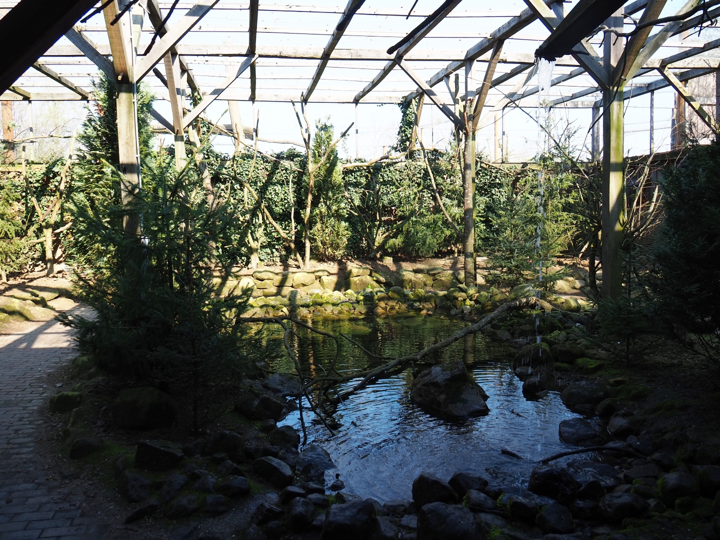 Australian aviary, 2019-03-30