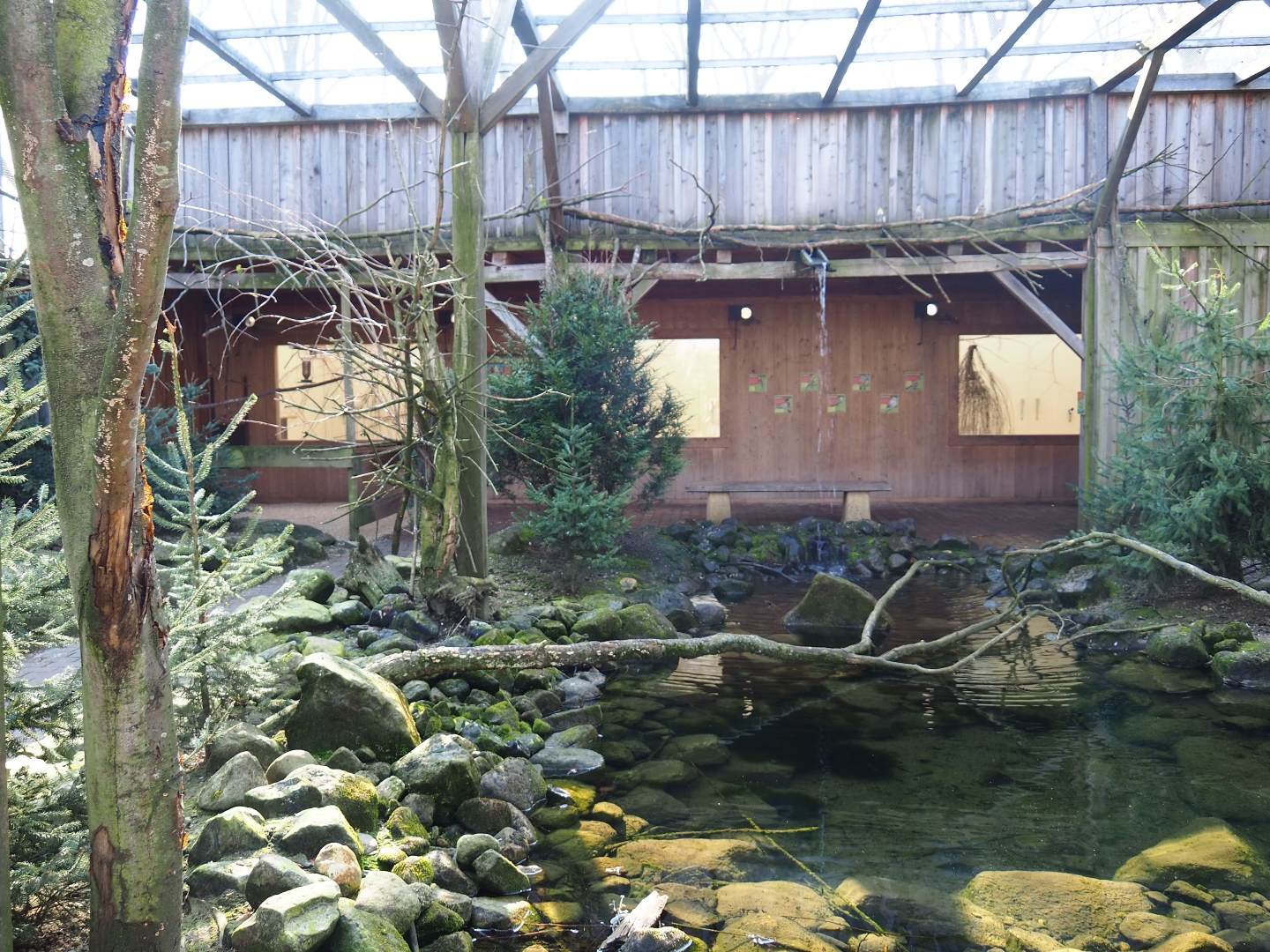 Australian aviary, 2019-03-30