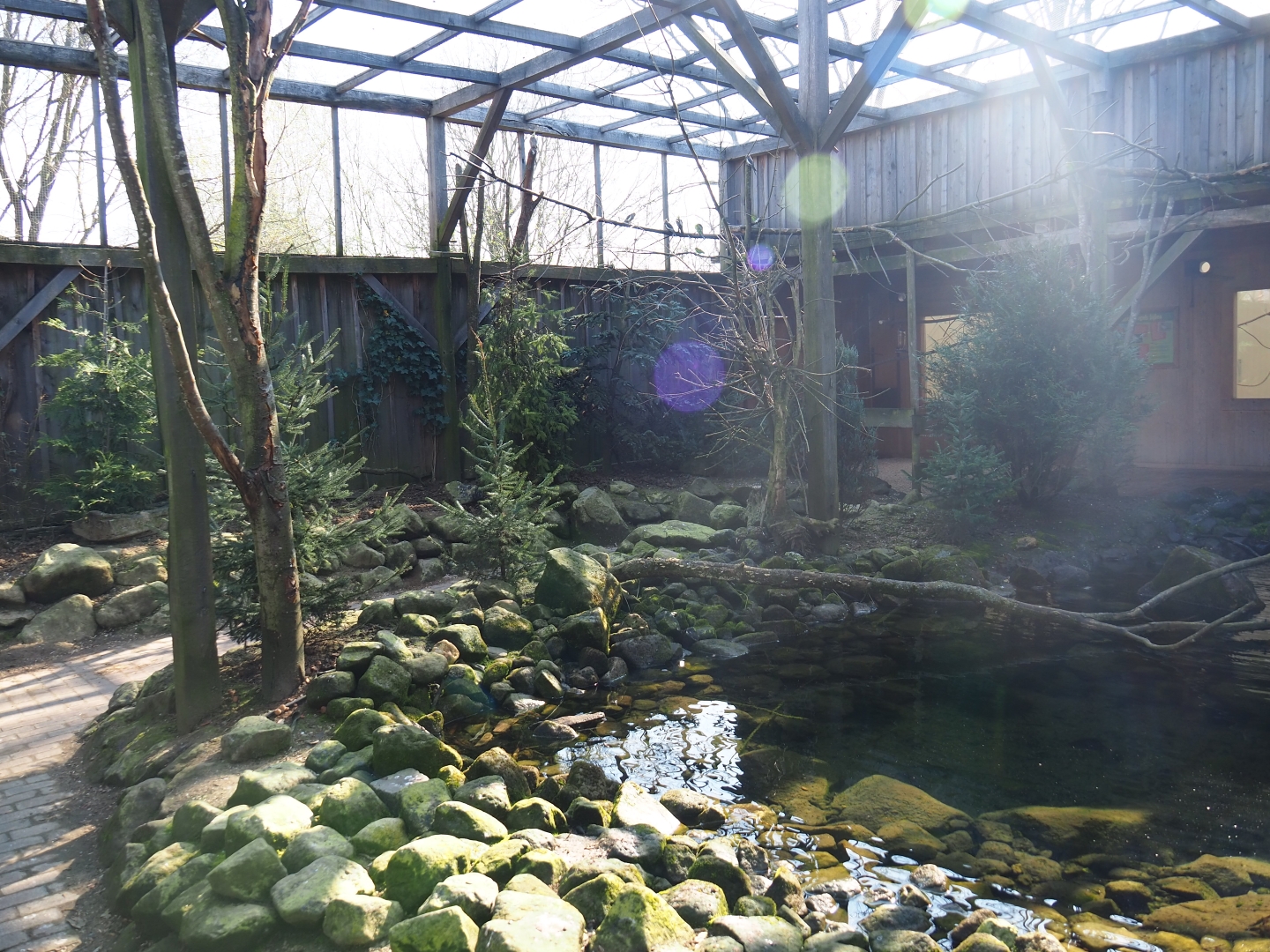 Australian aviary, 2019-03-30