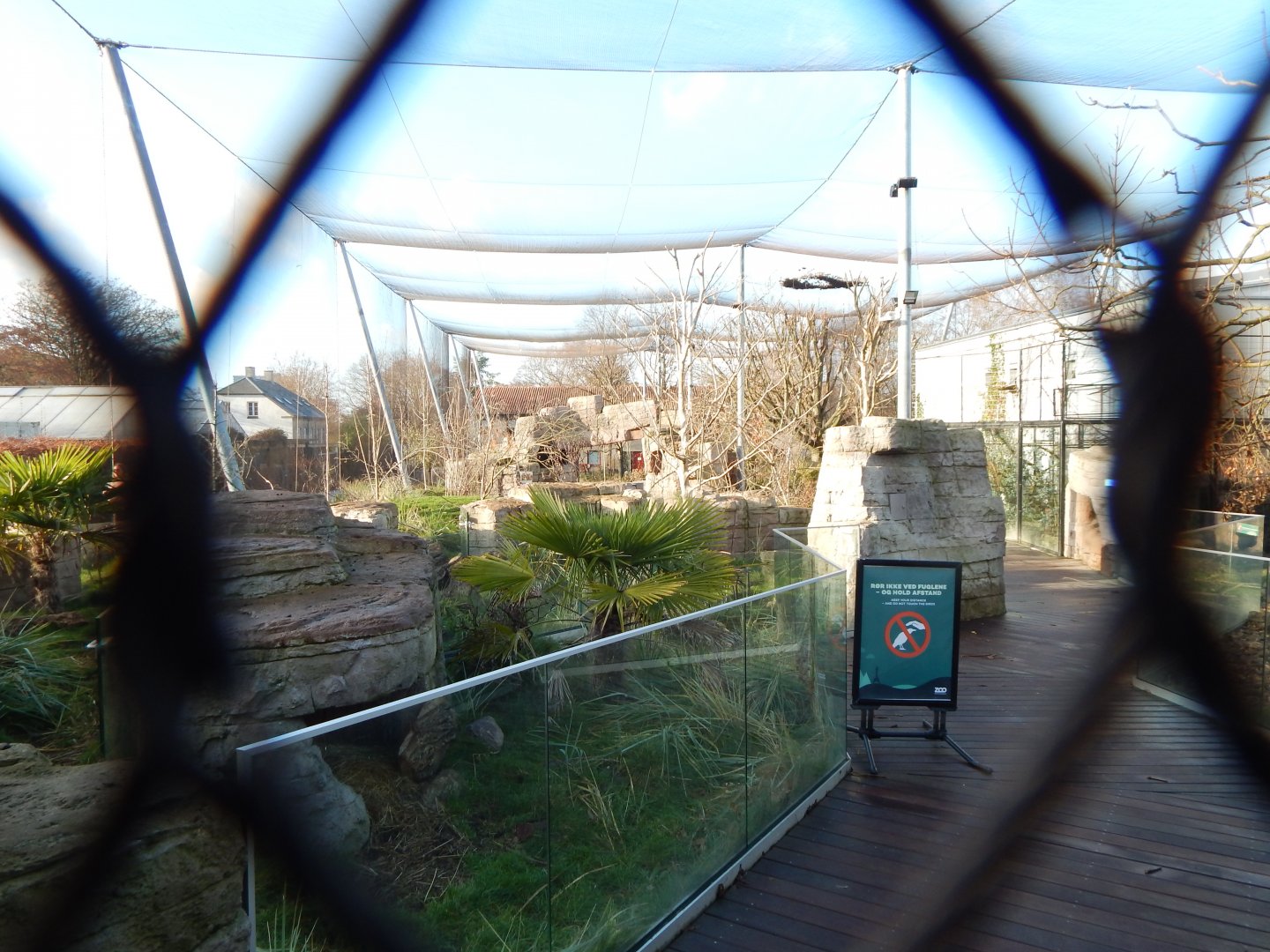 Australian aviary 261124