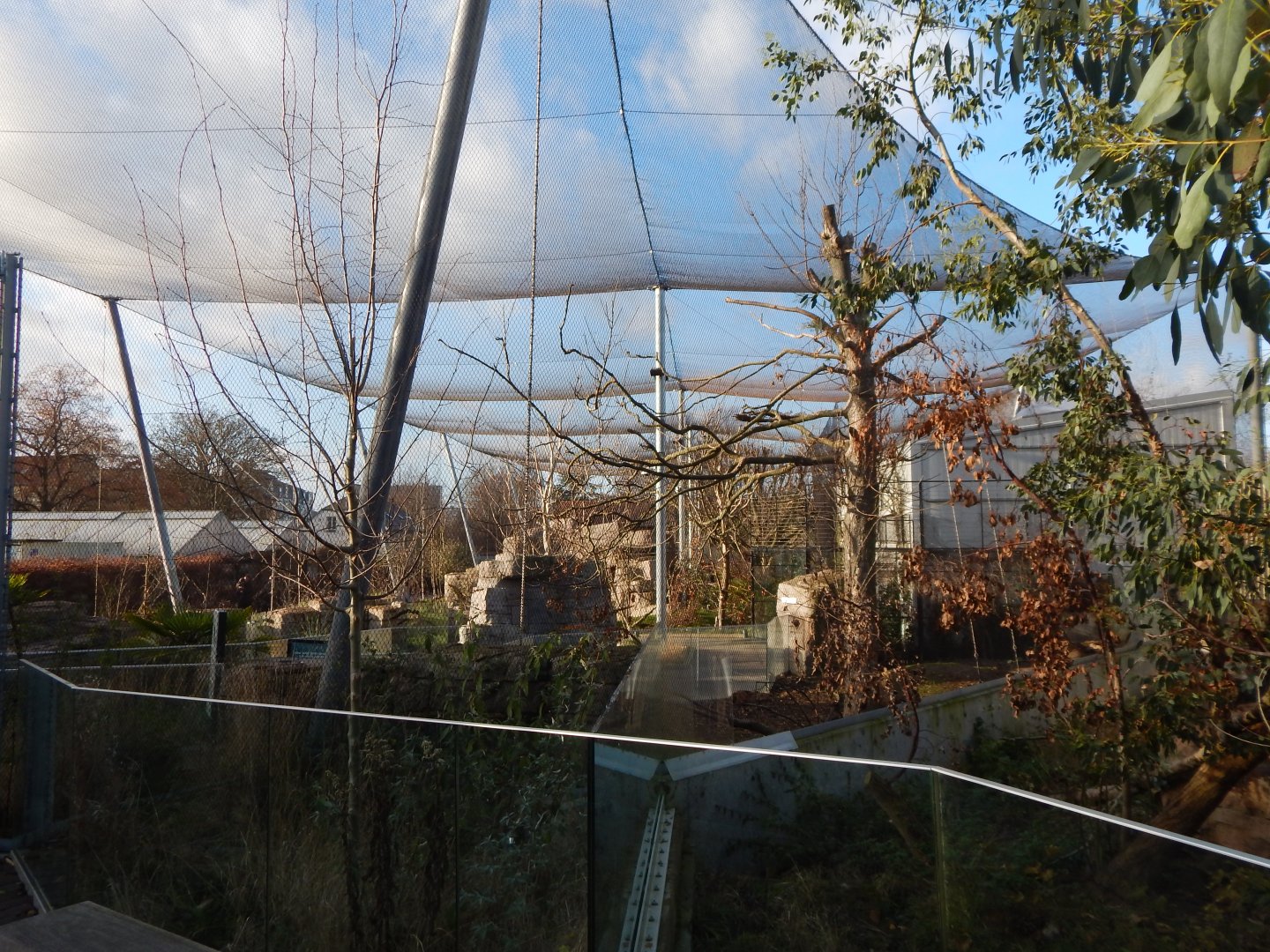 Australian aviary 261124