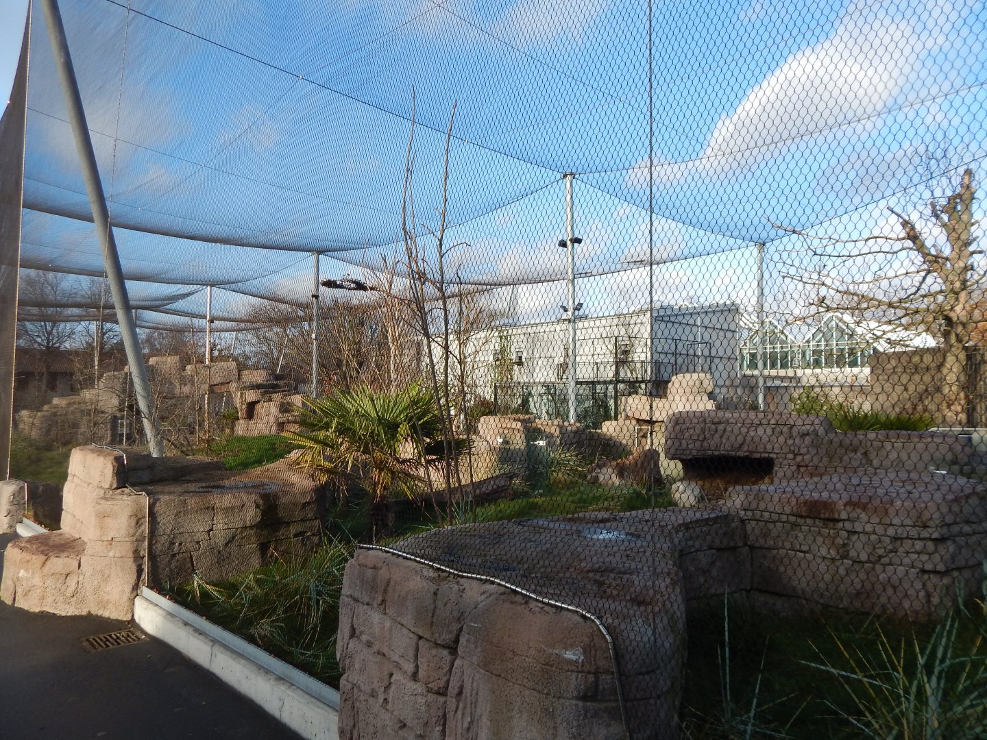 Australian aviary 261124