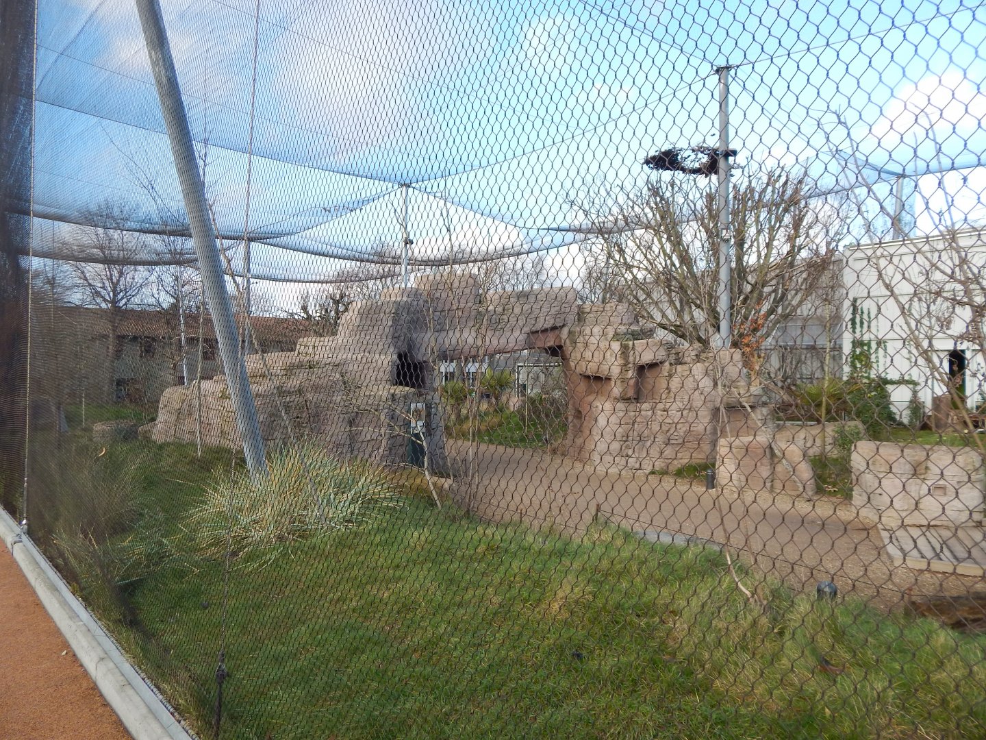 Australian aviary 261124