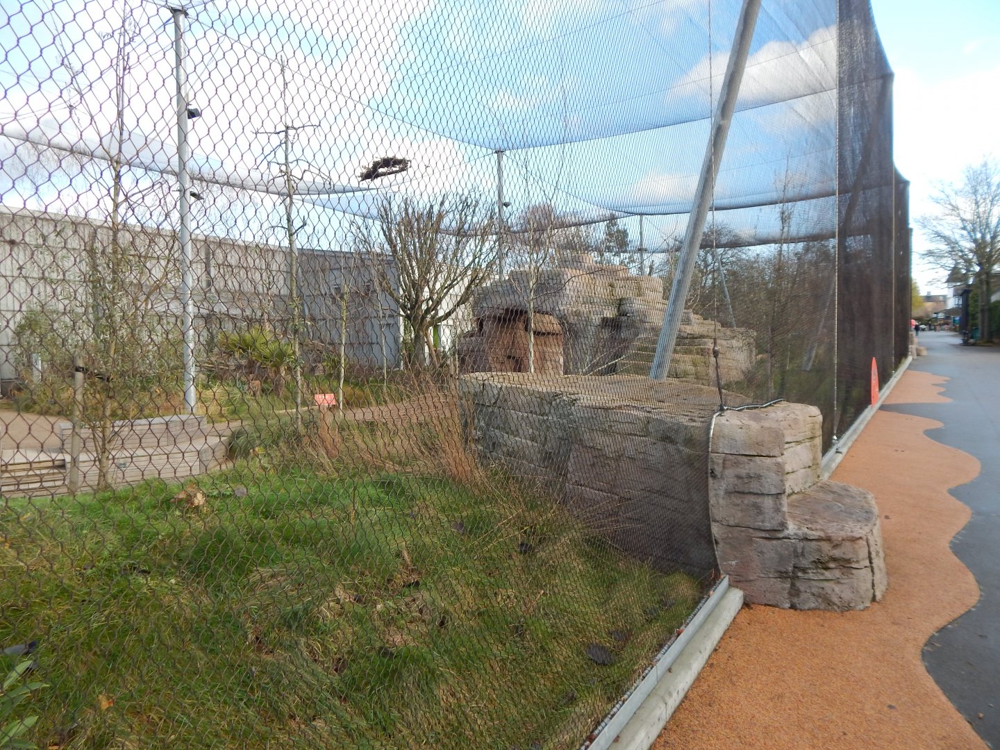 Australian aviary 261124