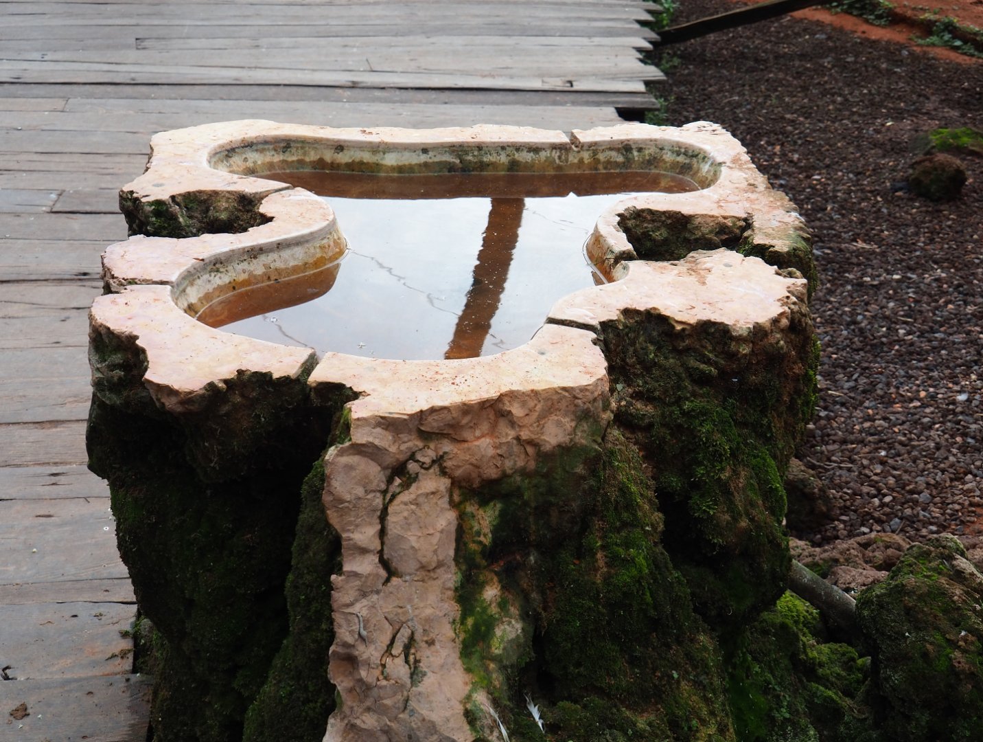 Australian aviary bird bath, 2019-10-04