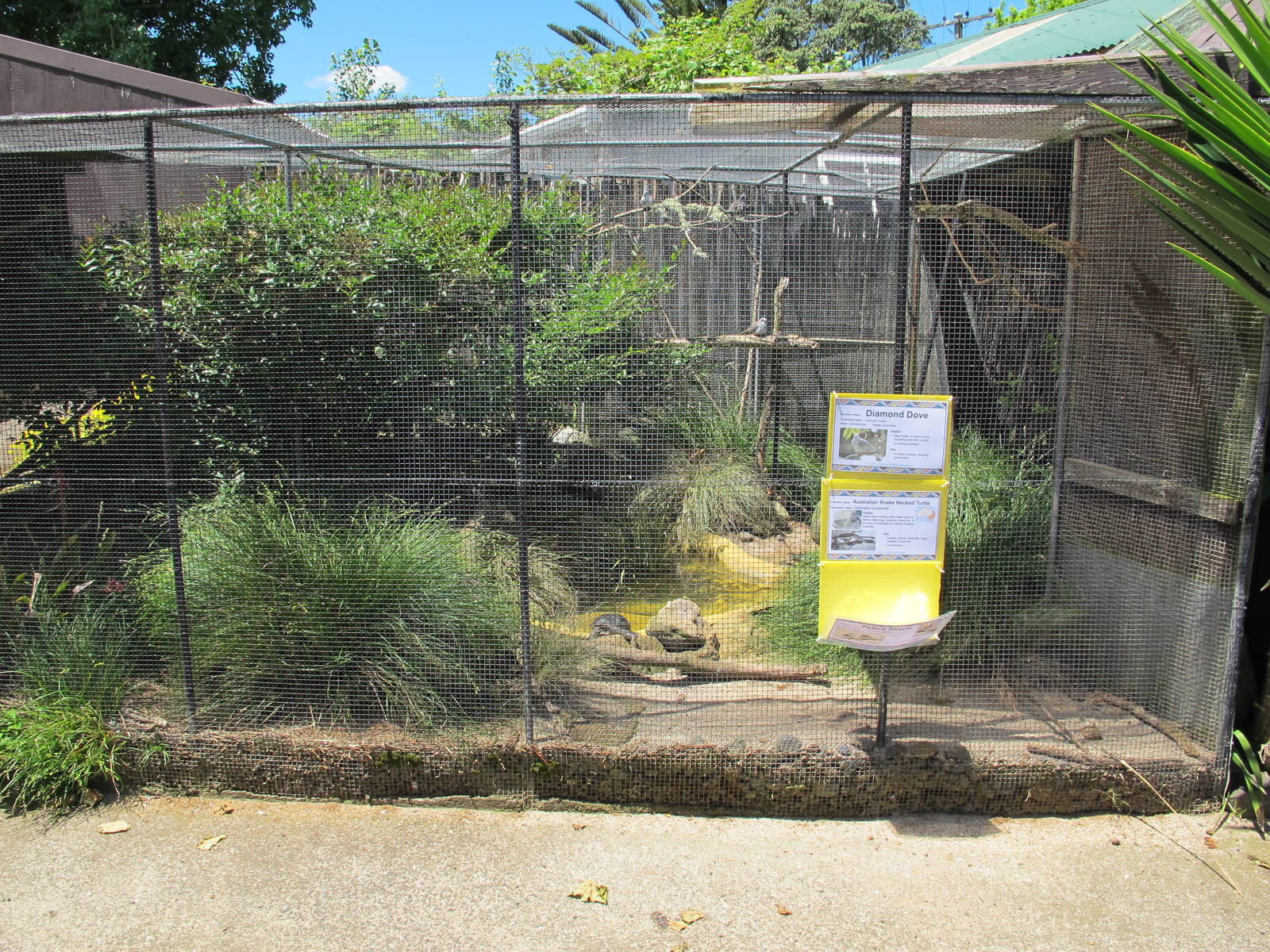 Australian Aviary - Franklin Zoo