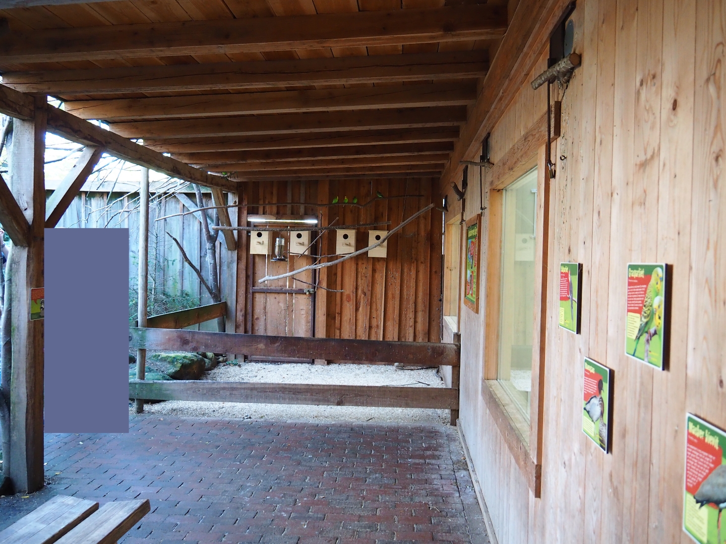 Australian aviary - Indoor housing viewing area (Oct 13th, 2018)