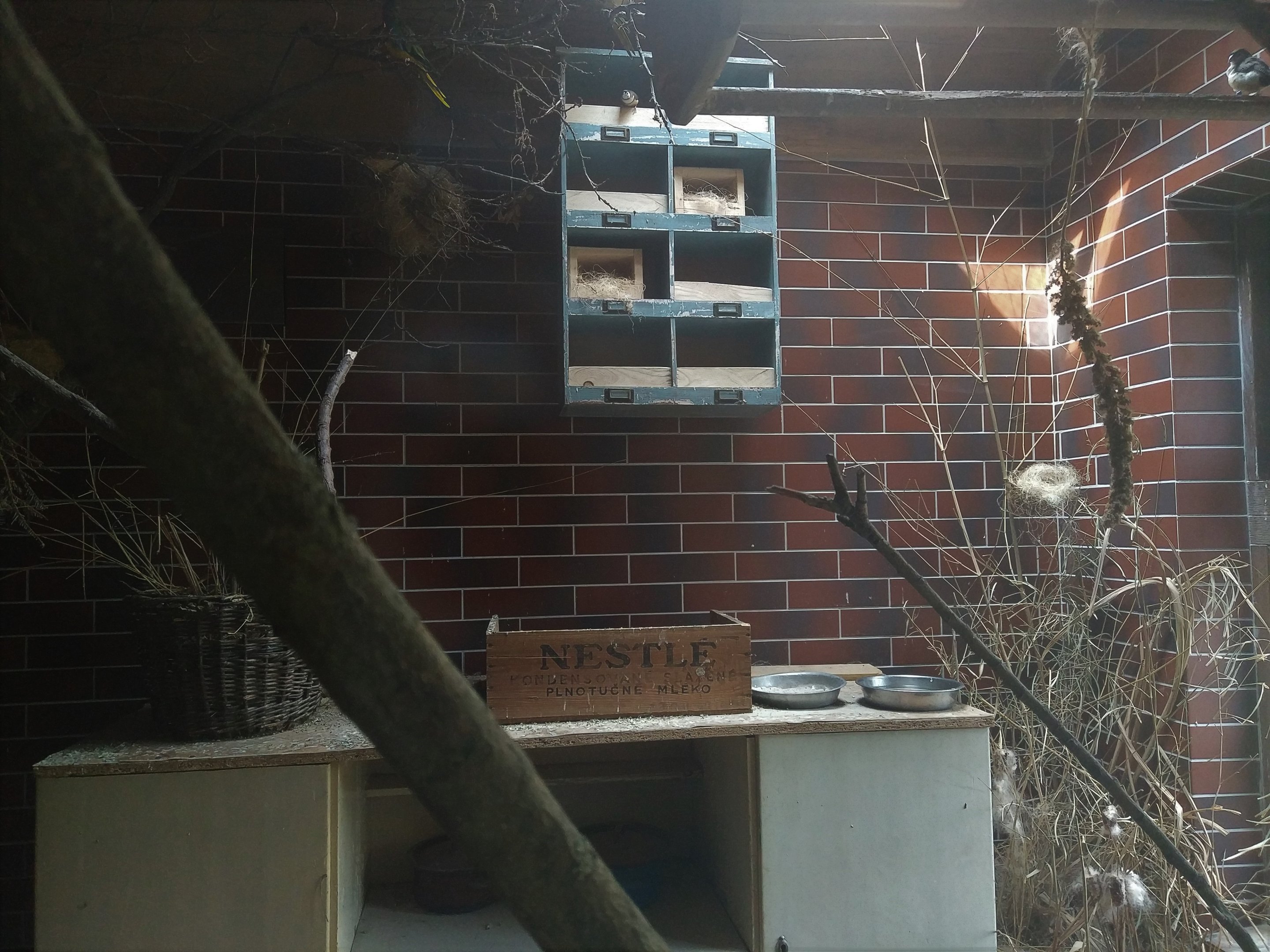 Australian Aviary Indoors