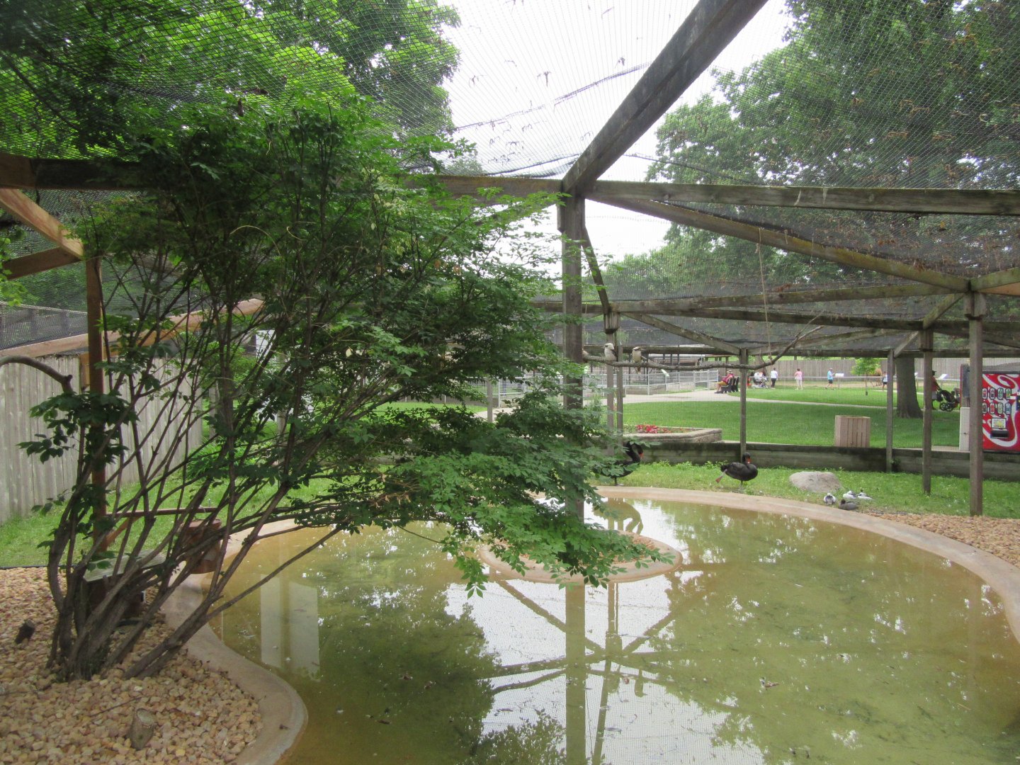 Australian Aviary- Interior