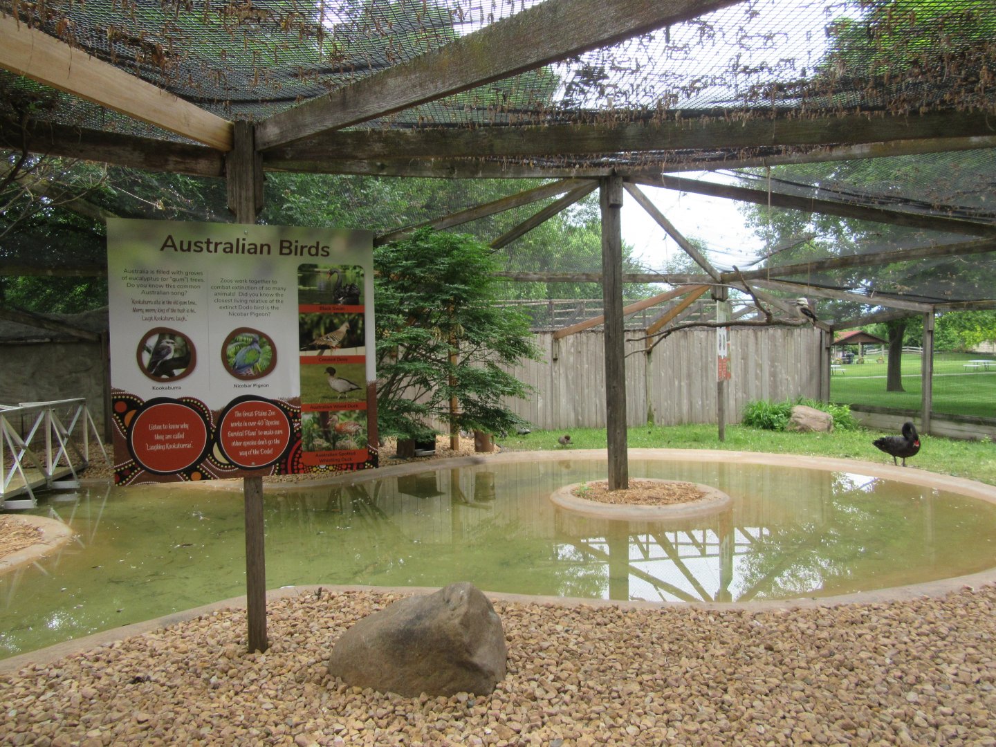 Australian Aviary- Interior