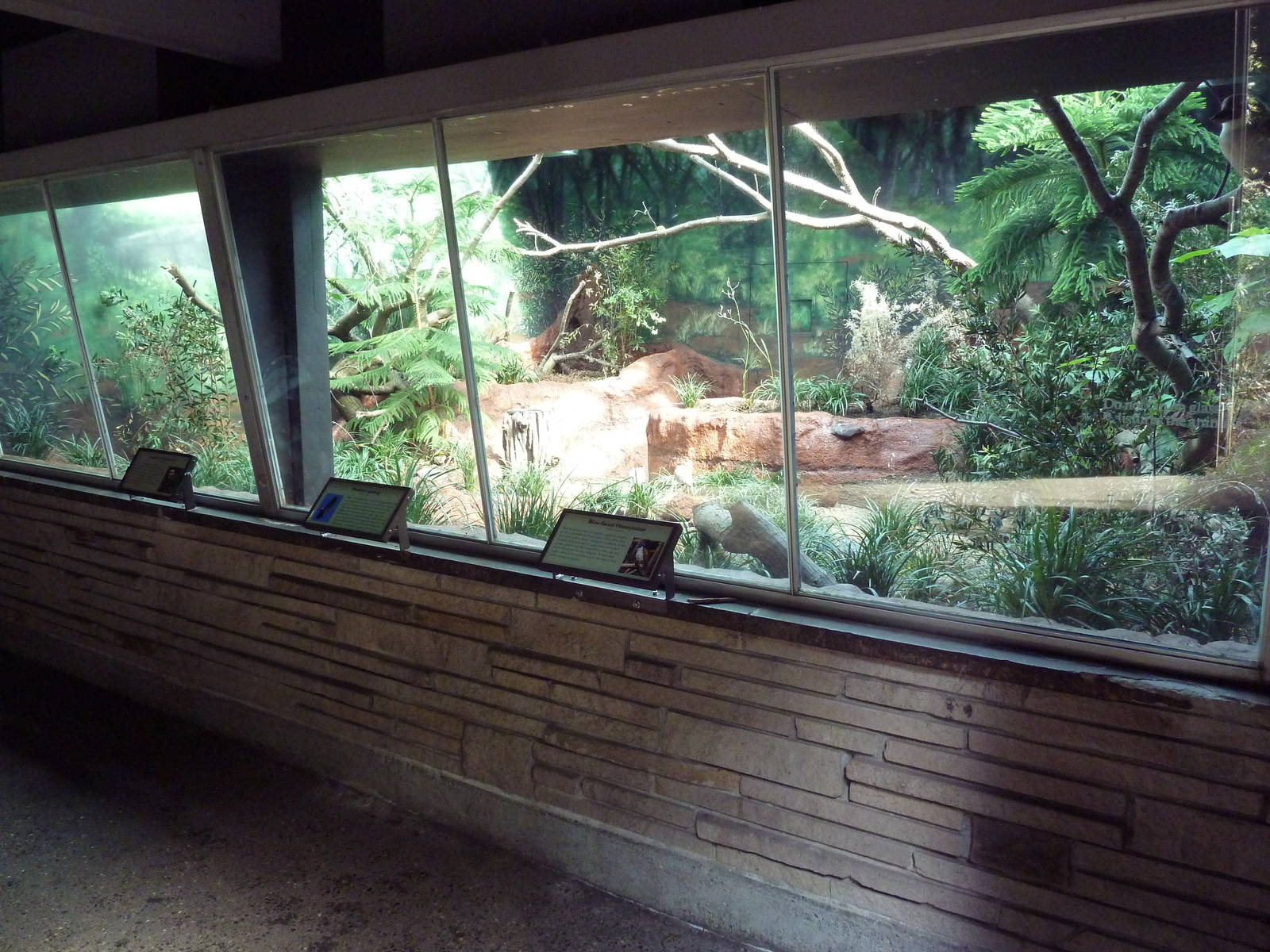 Australian Aviary (renovated in 2013)