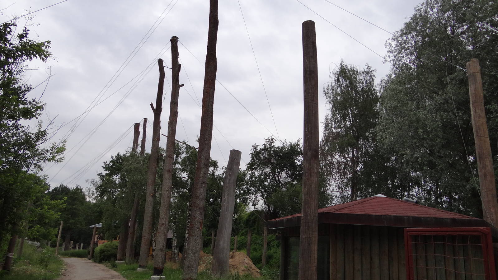 Australian aviary under constuction