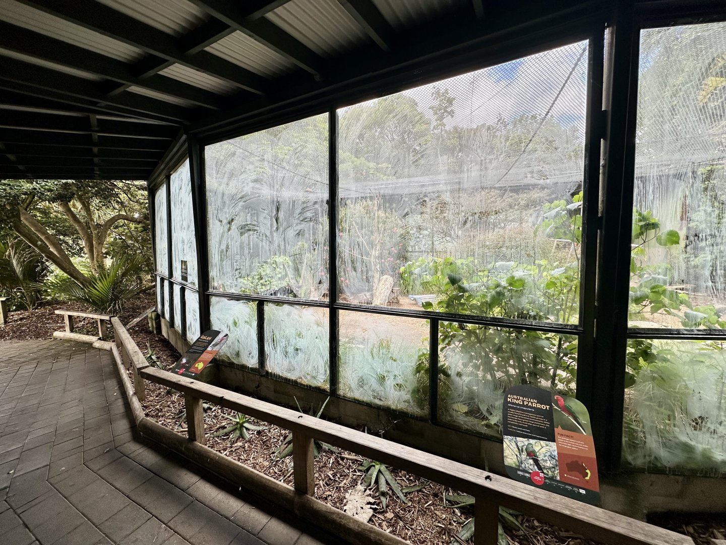 Australian Aviary (Under Rennovation)