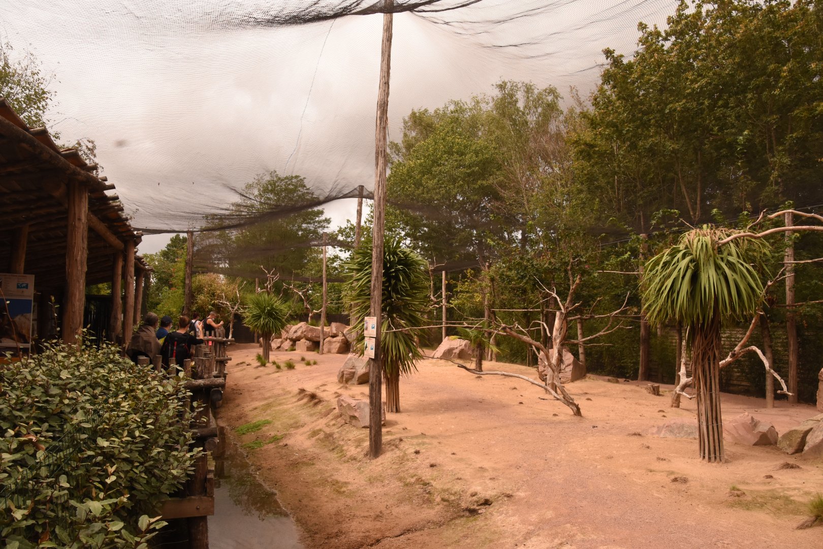 Australian aviary with Rock Wallaby
