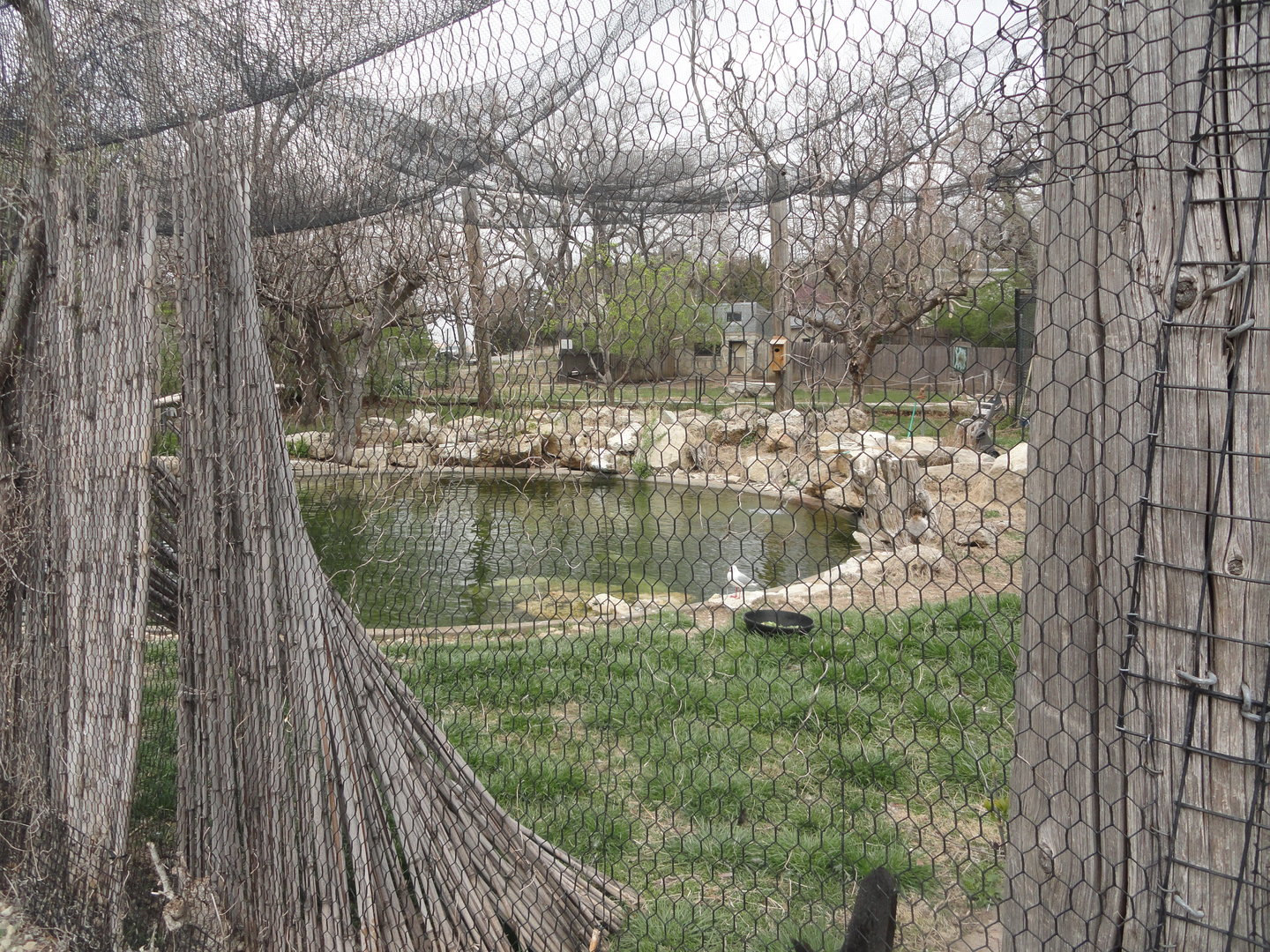 Australian Aviary within Walkabout