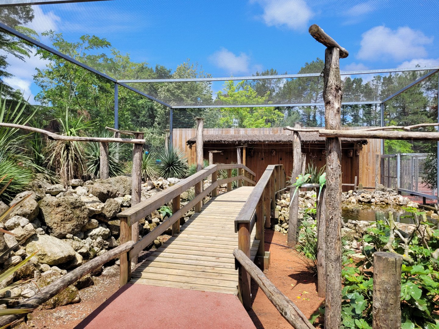 Australian aviary -Zoo du bassin d'Arcachon (2024)