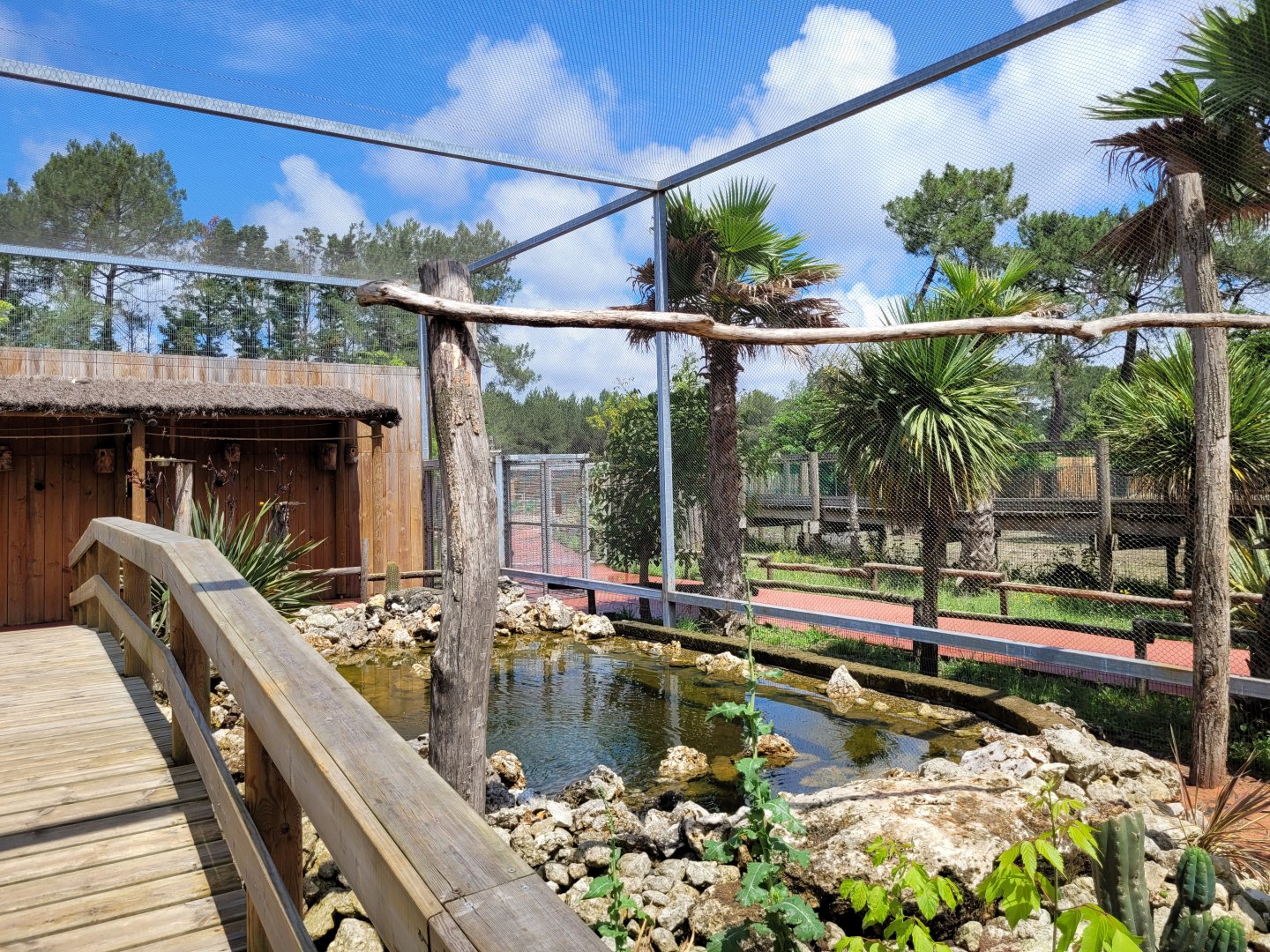 Australian aviary -Zoo du bassin d'Arcachon (2024)