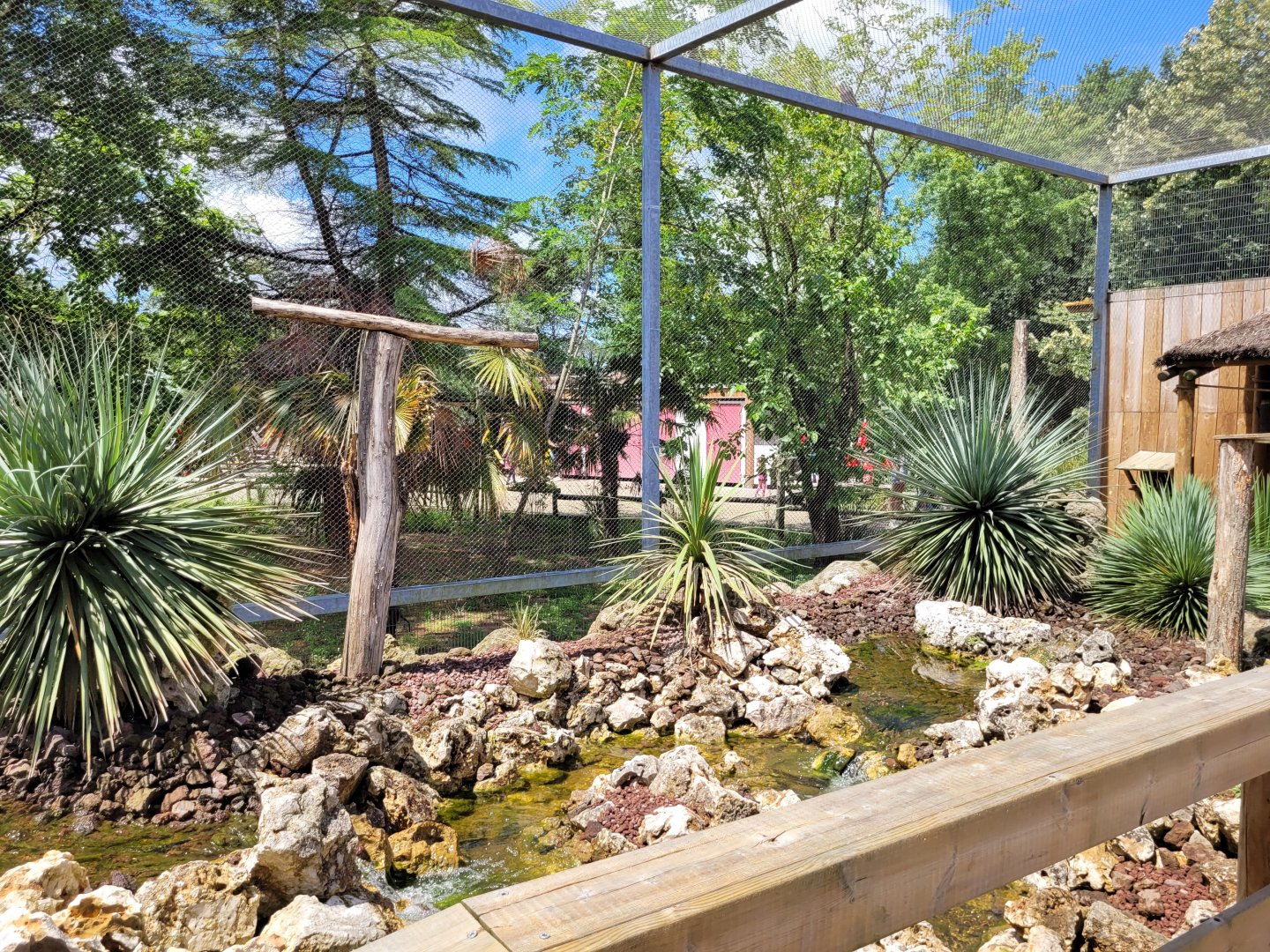 Australian aviary -Zoo du bassin d'Arcachon (2024)