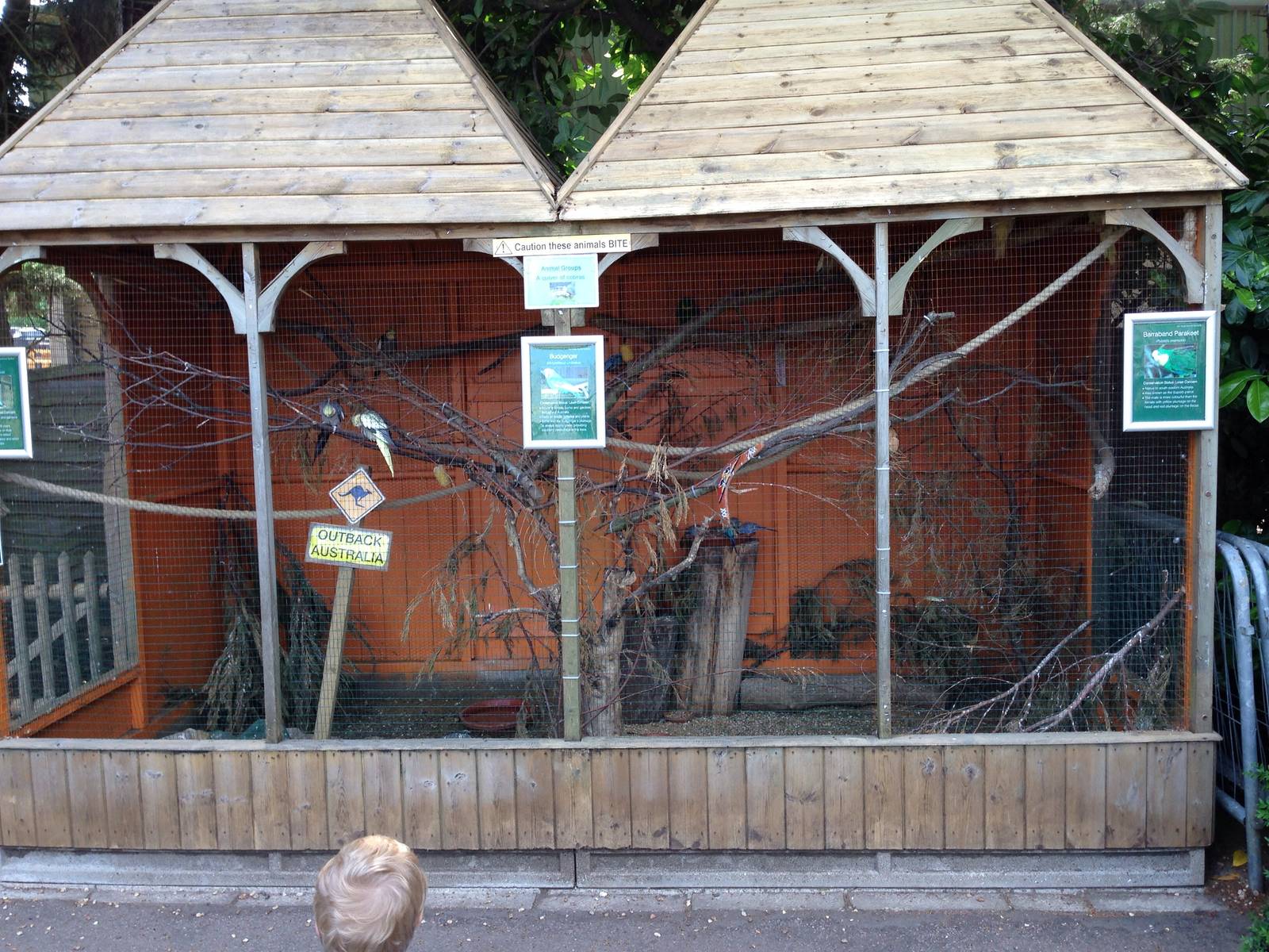 Australian aviary