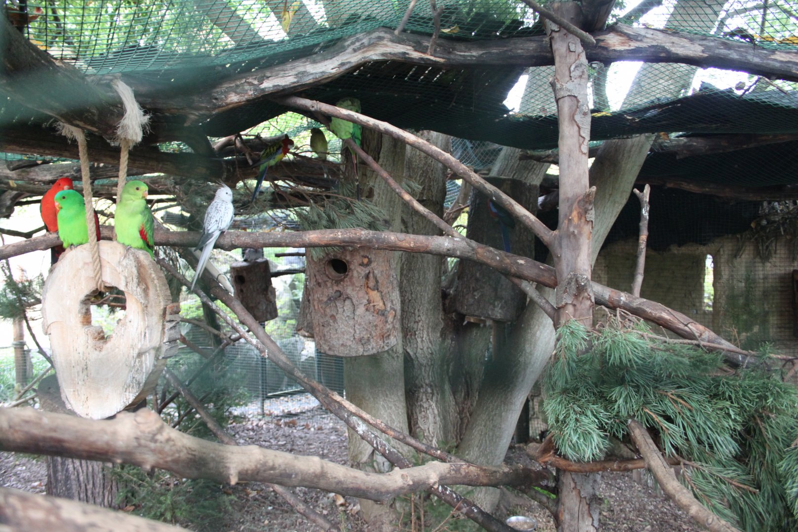 Australian aviary
