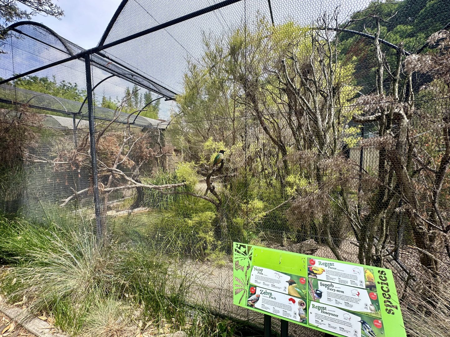Australian Aviary