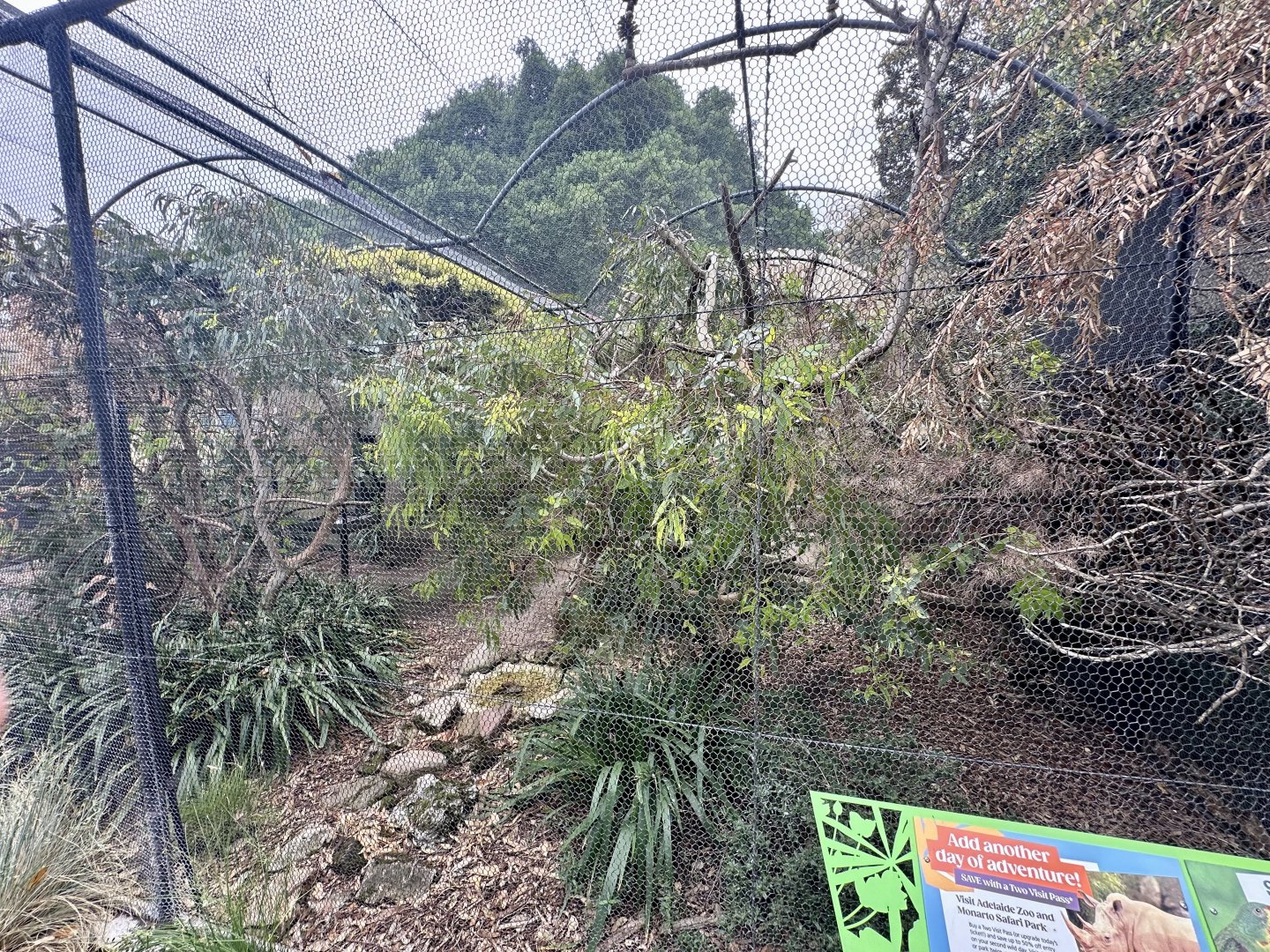 Australian Aviary