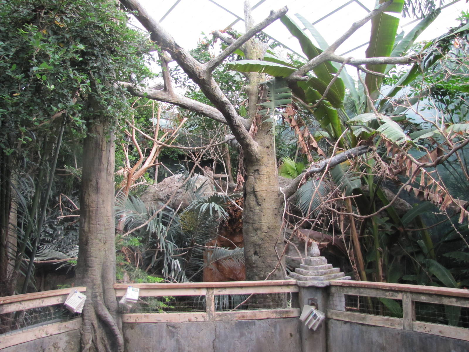 Australian Bird Aviary.