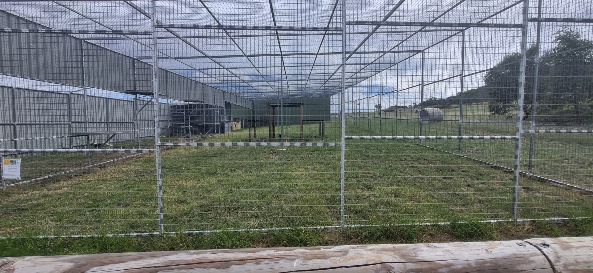 Australian bird Aviary