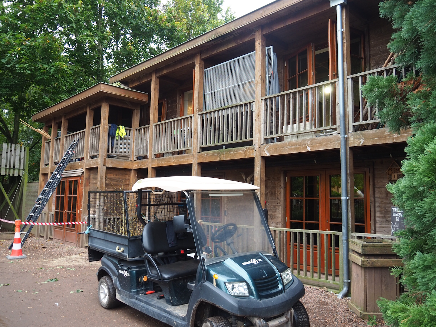 Australian bird house with ongoing renovations, 2023-10-13