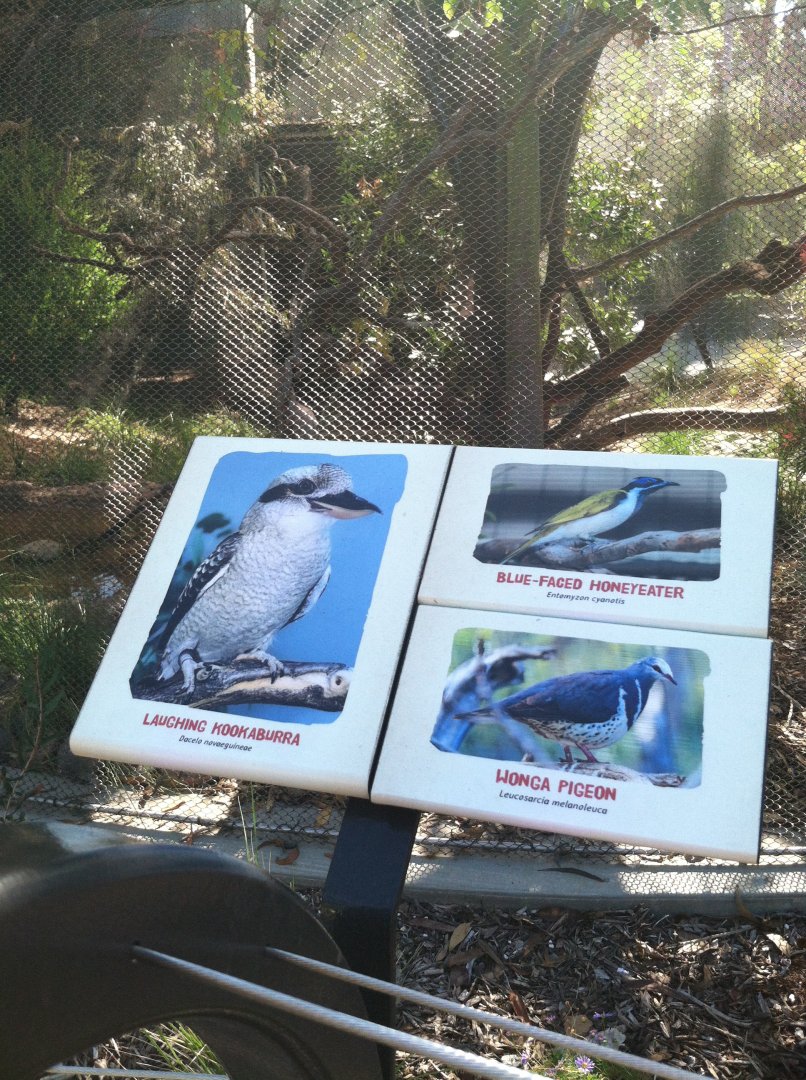 Australian Bird Signage 2013