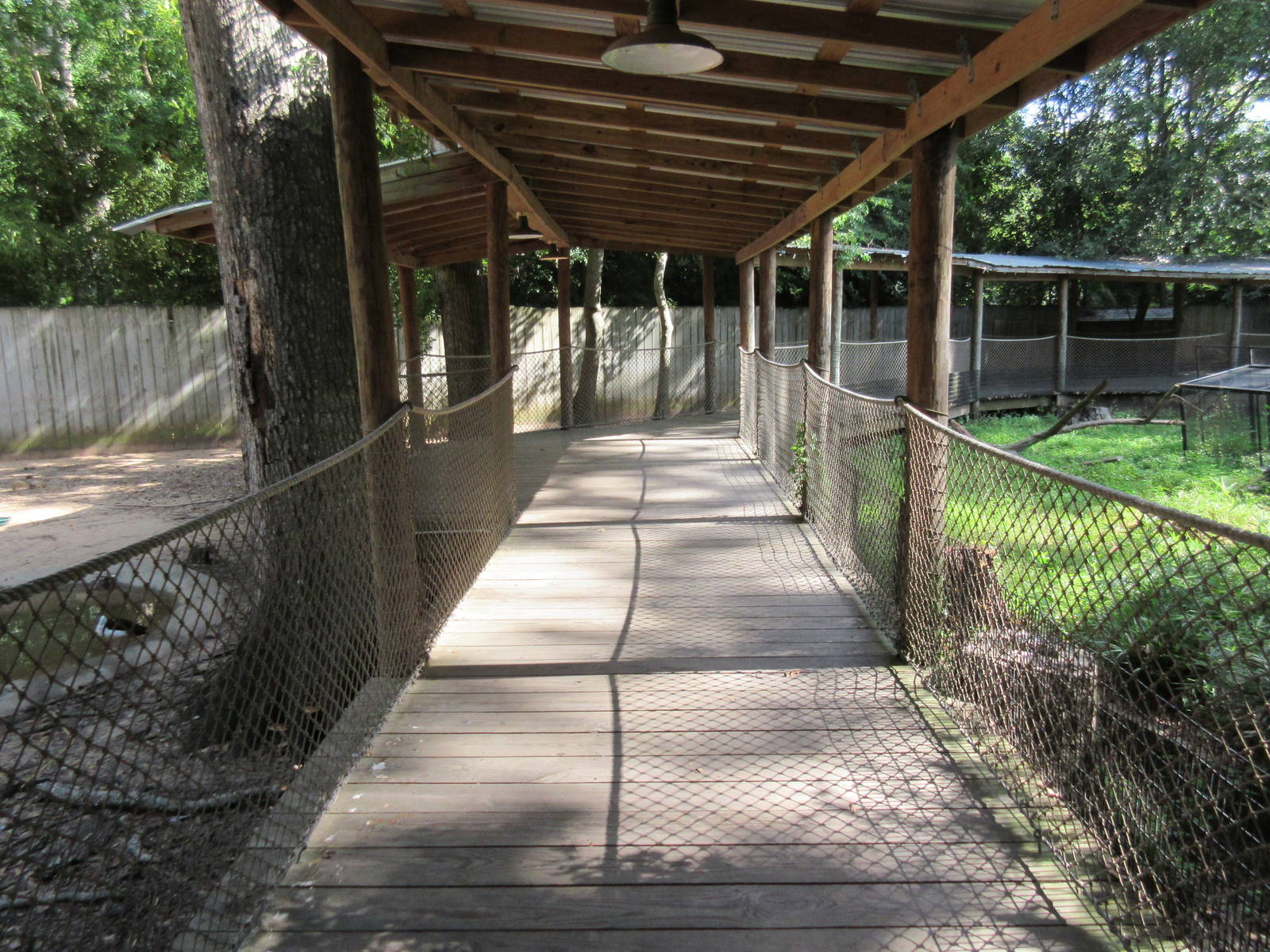 Australian Boardwalk