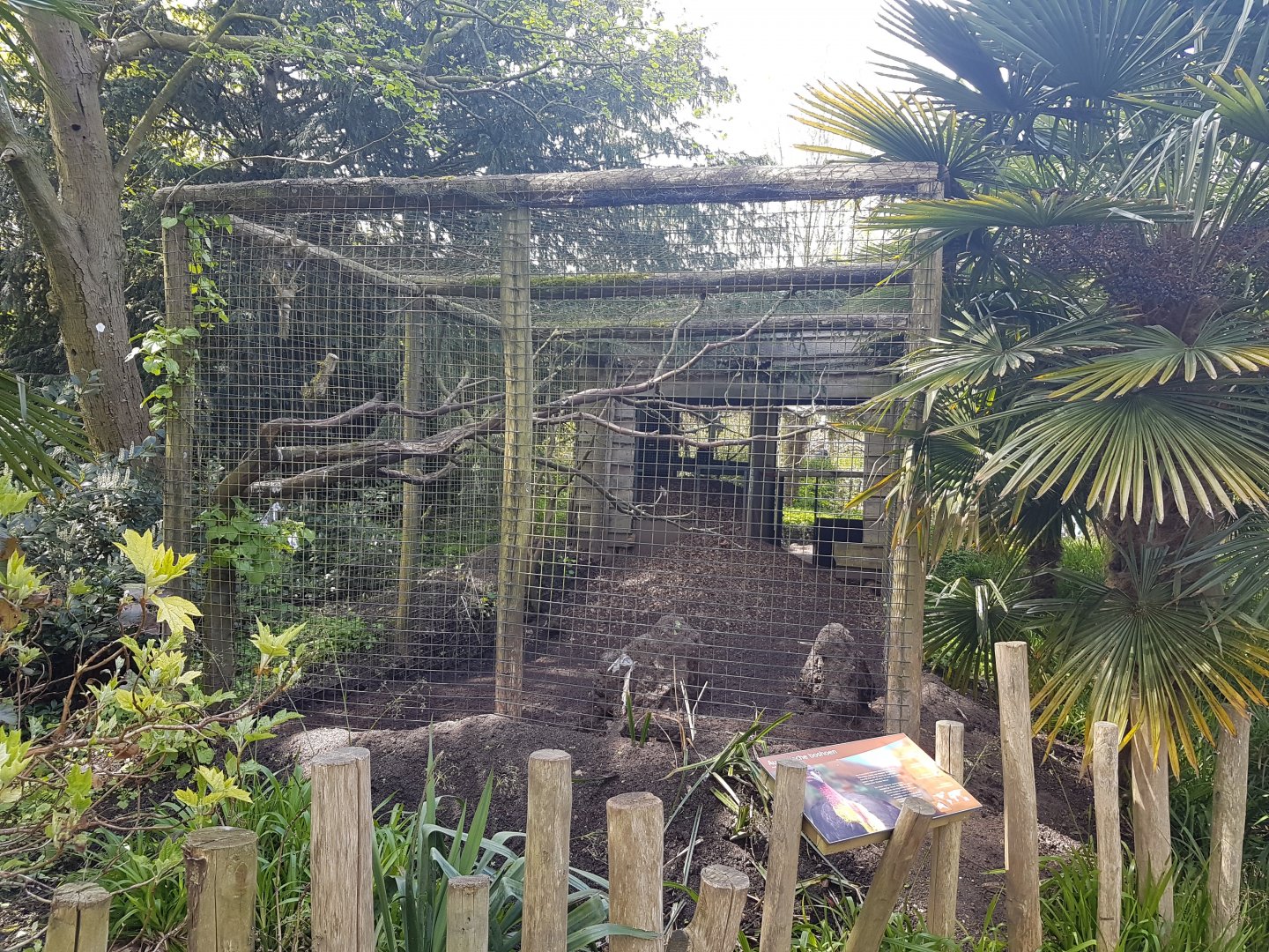 Australian Brush-turkey-aviary