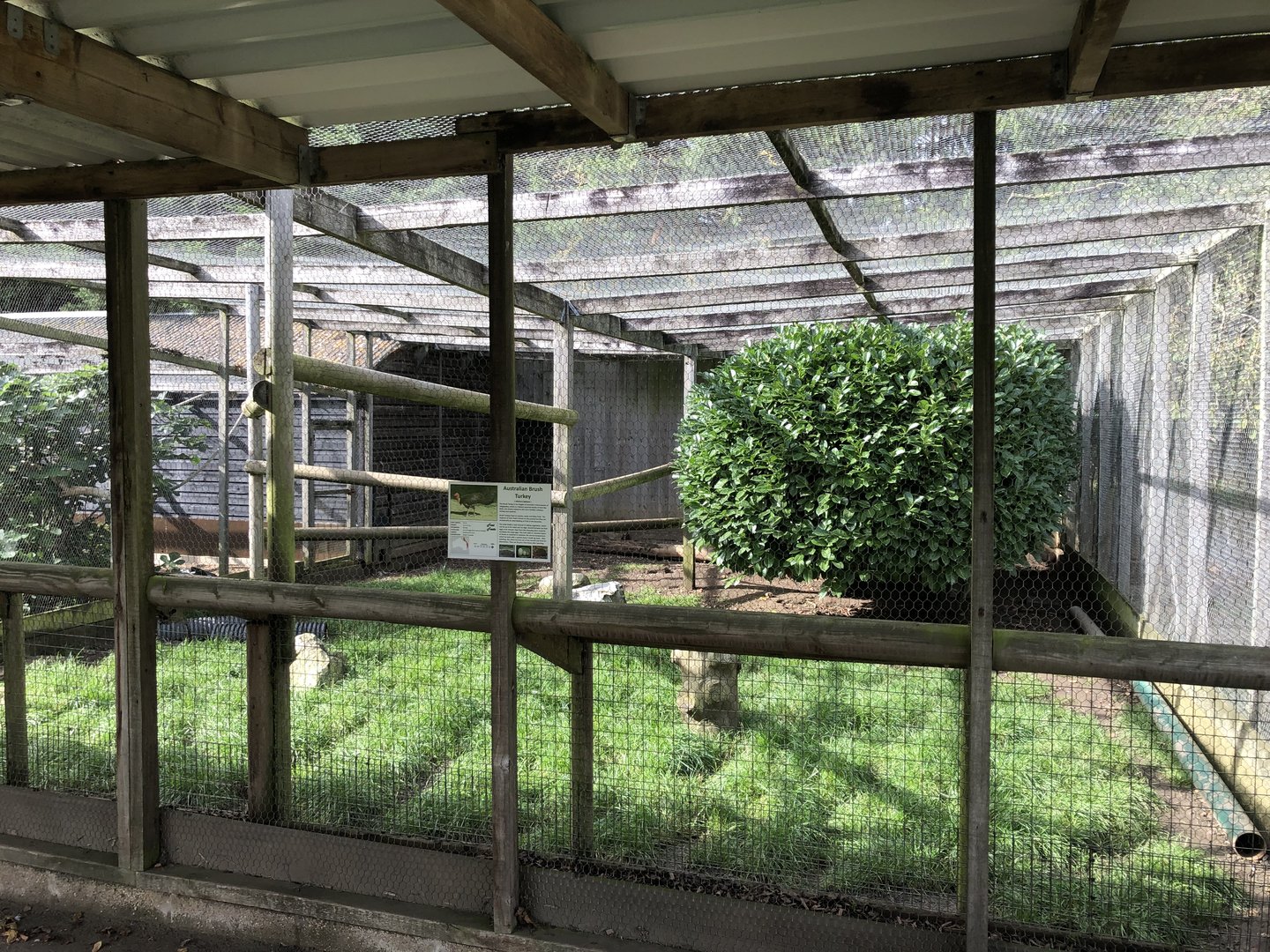 Australian Brushturkey / Long-nosed Potaroo Enclosure at Hamerton Zoo Park (October 2023)