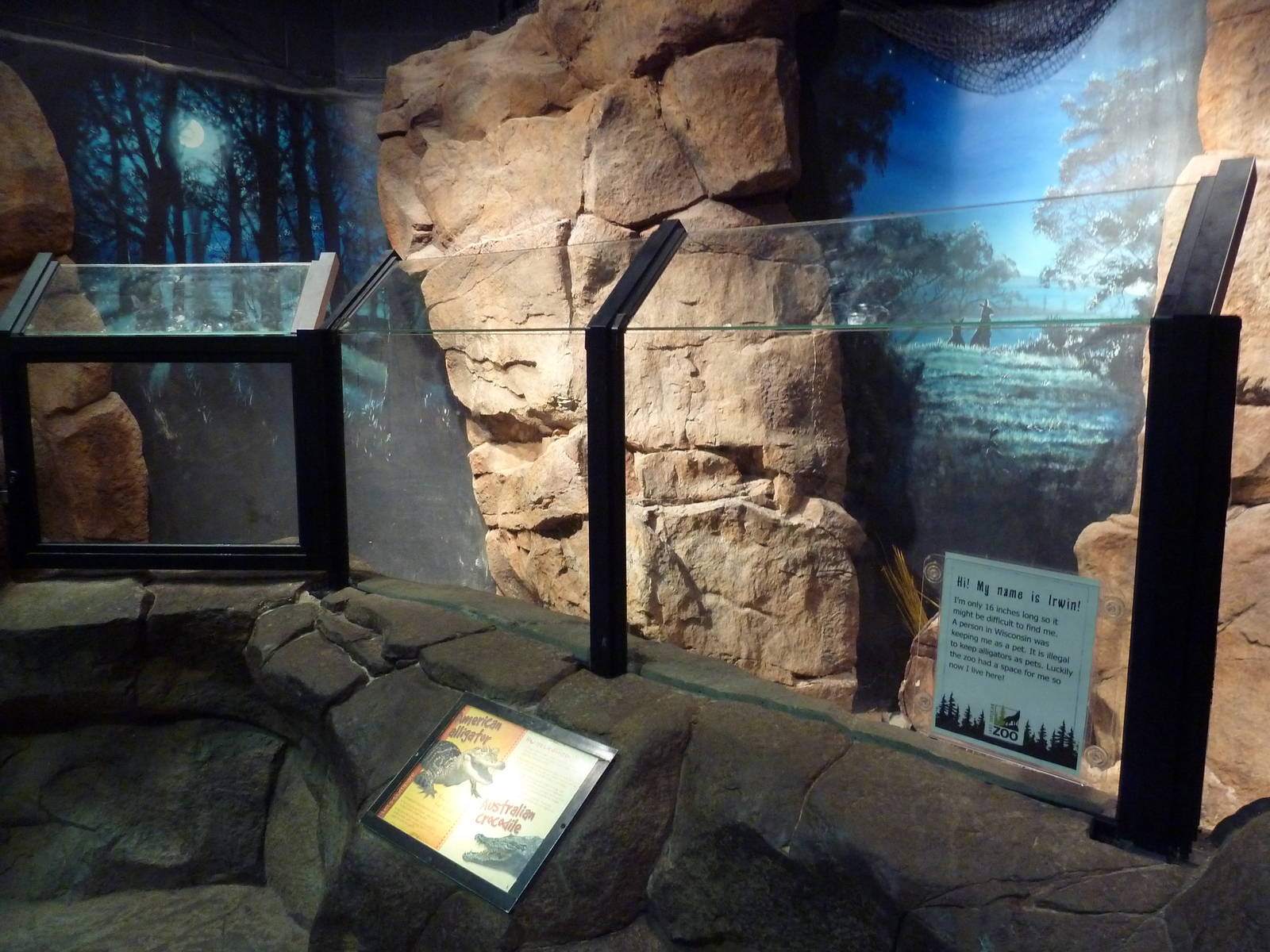 Australian Building - American Alligator Exhibit