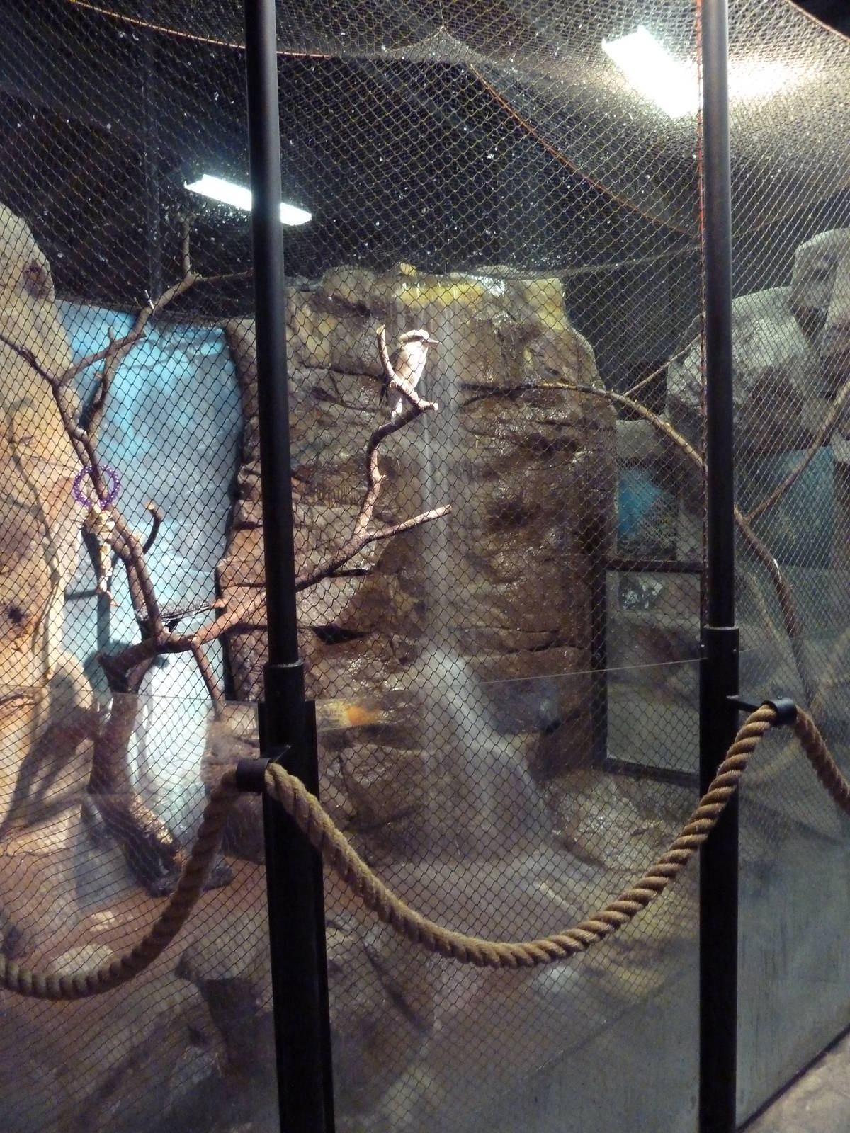 Australian Building - Kookaburra Exhibit