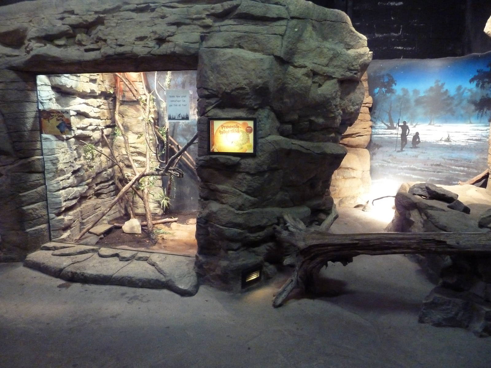 Australian Building - Prehensile-Tailed Skink Exhibit