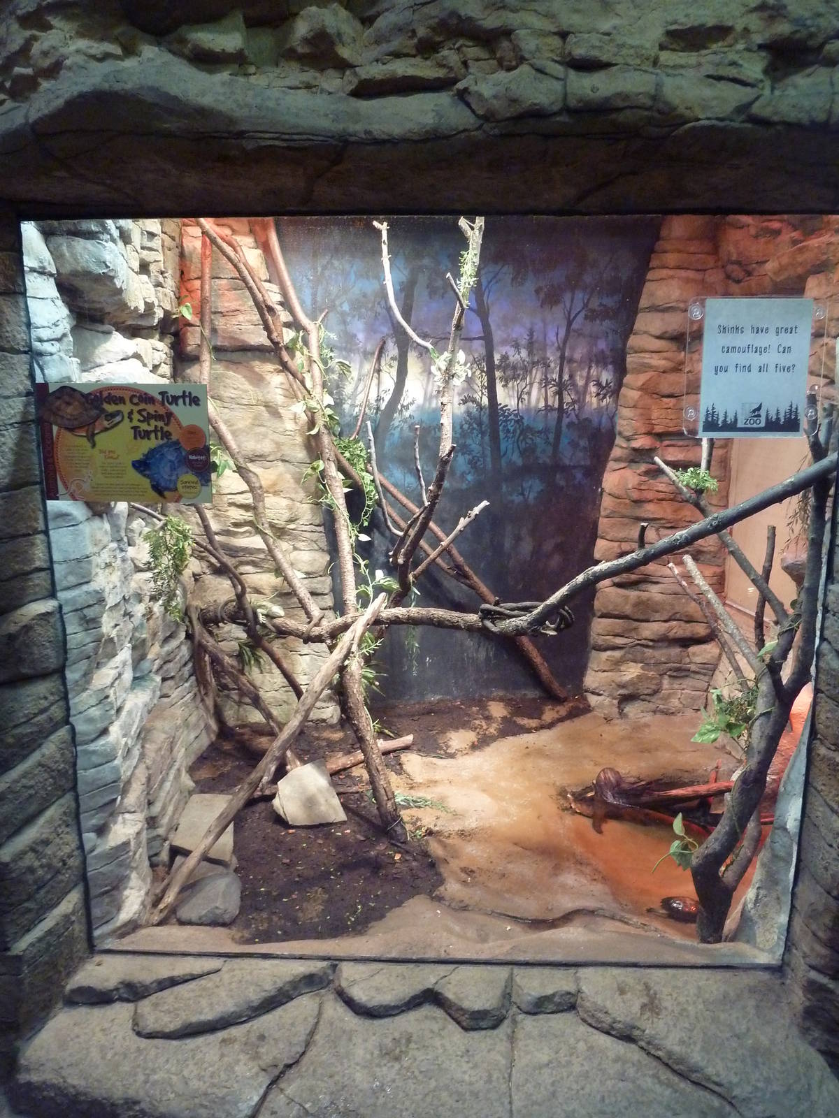 Australian Building - Spiny Turtle/Golden Coin Turtle Exhibit