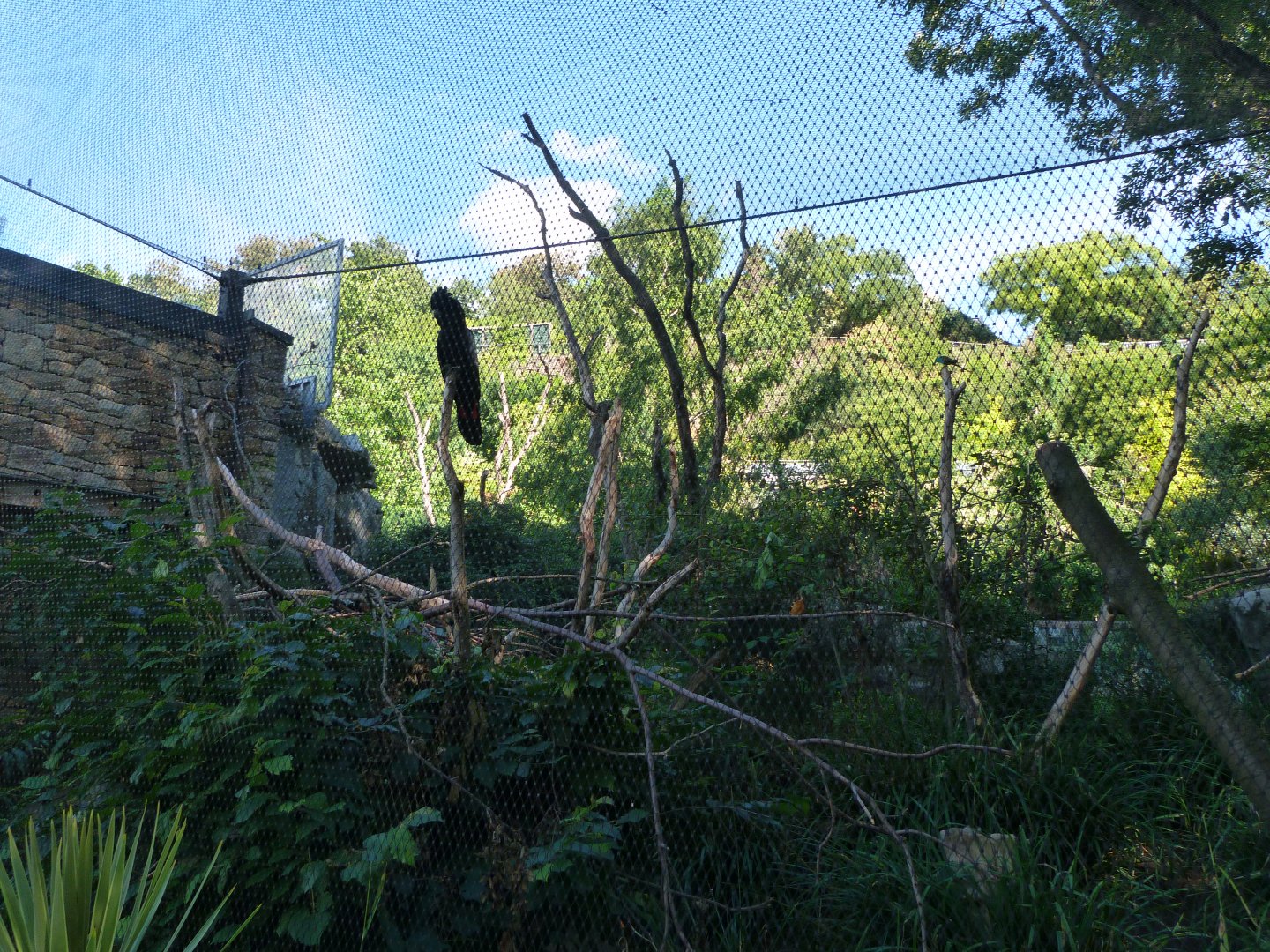 Australian bush aviary -Zoo Praha (2025)