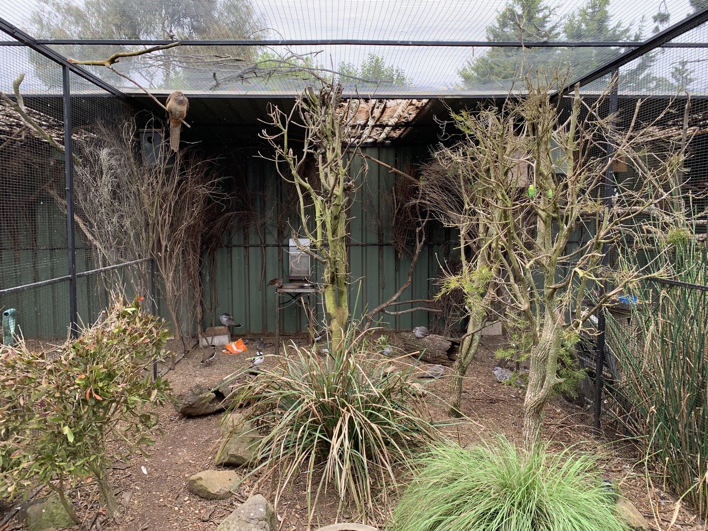 Australian Bush Bird Aviary