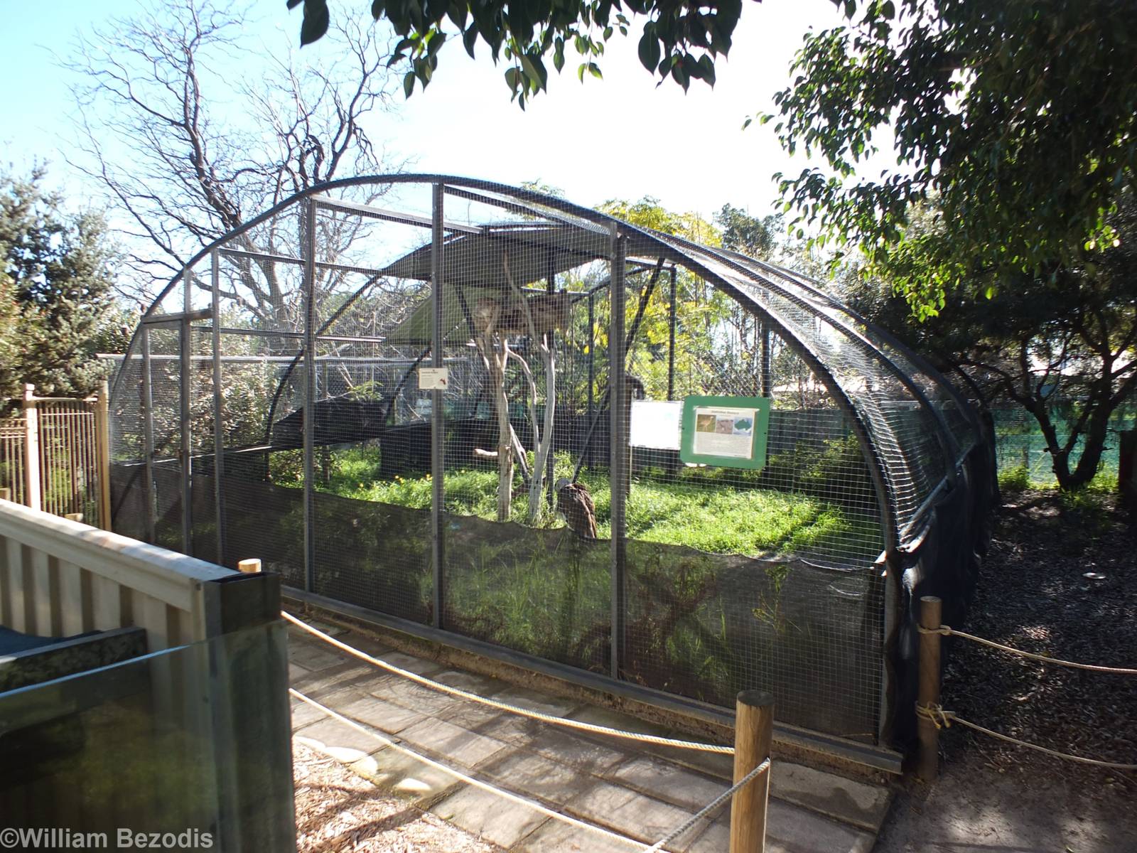 Australian Bustard and Barn Owl Enclosure