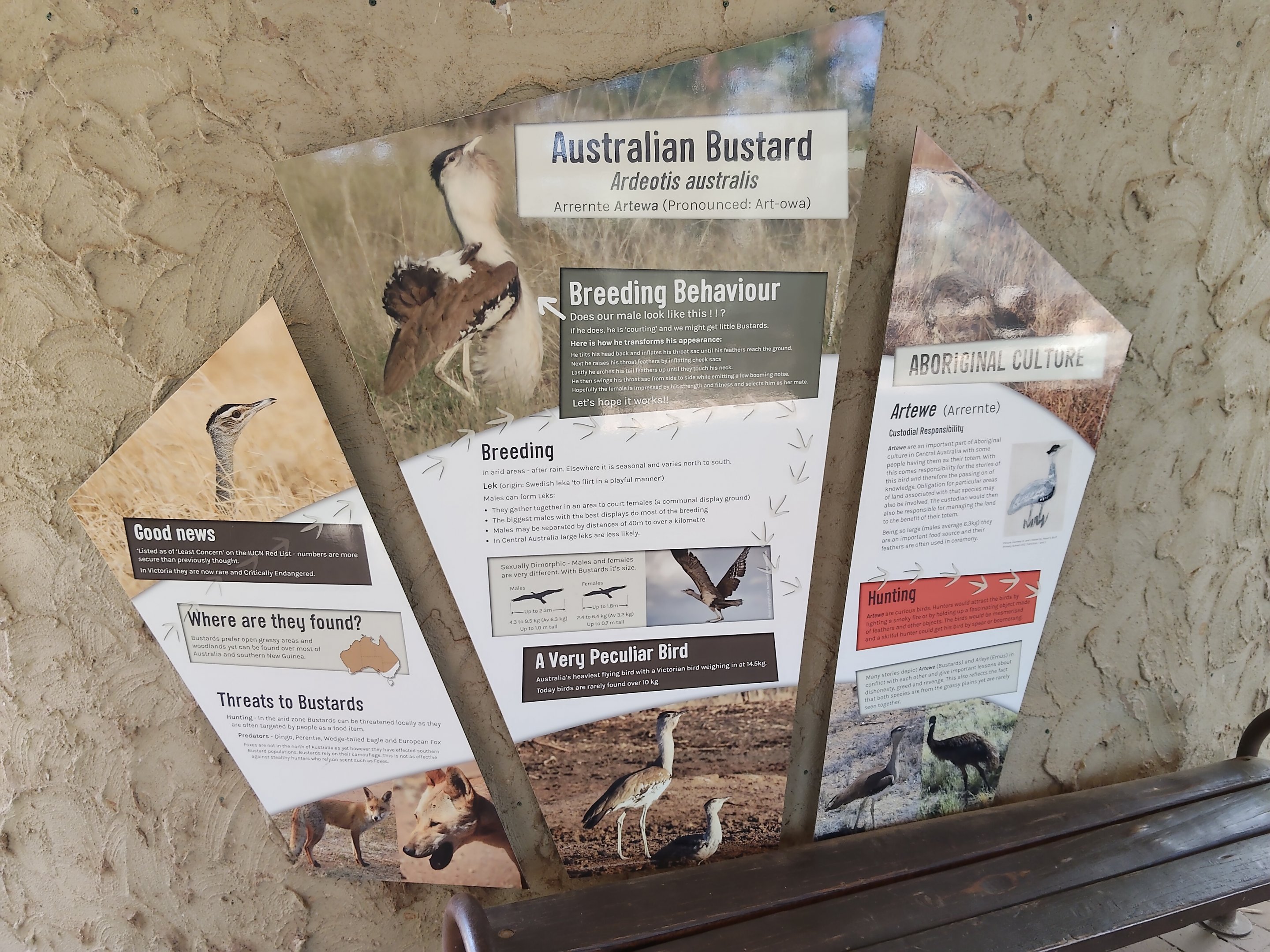 Australian Bustard signage
