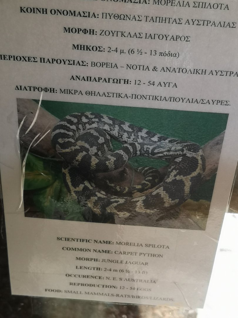 Australian Carpet Python signage