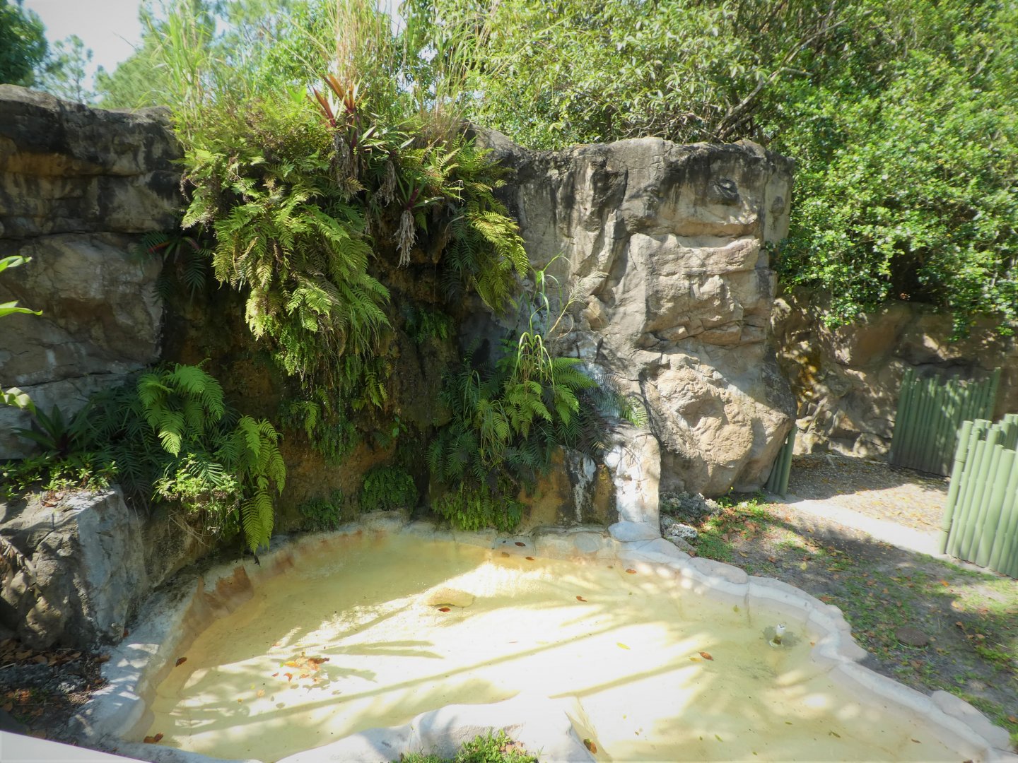 Australian Center - Southern Hairy-nosed Wombat Exhibit