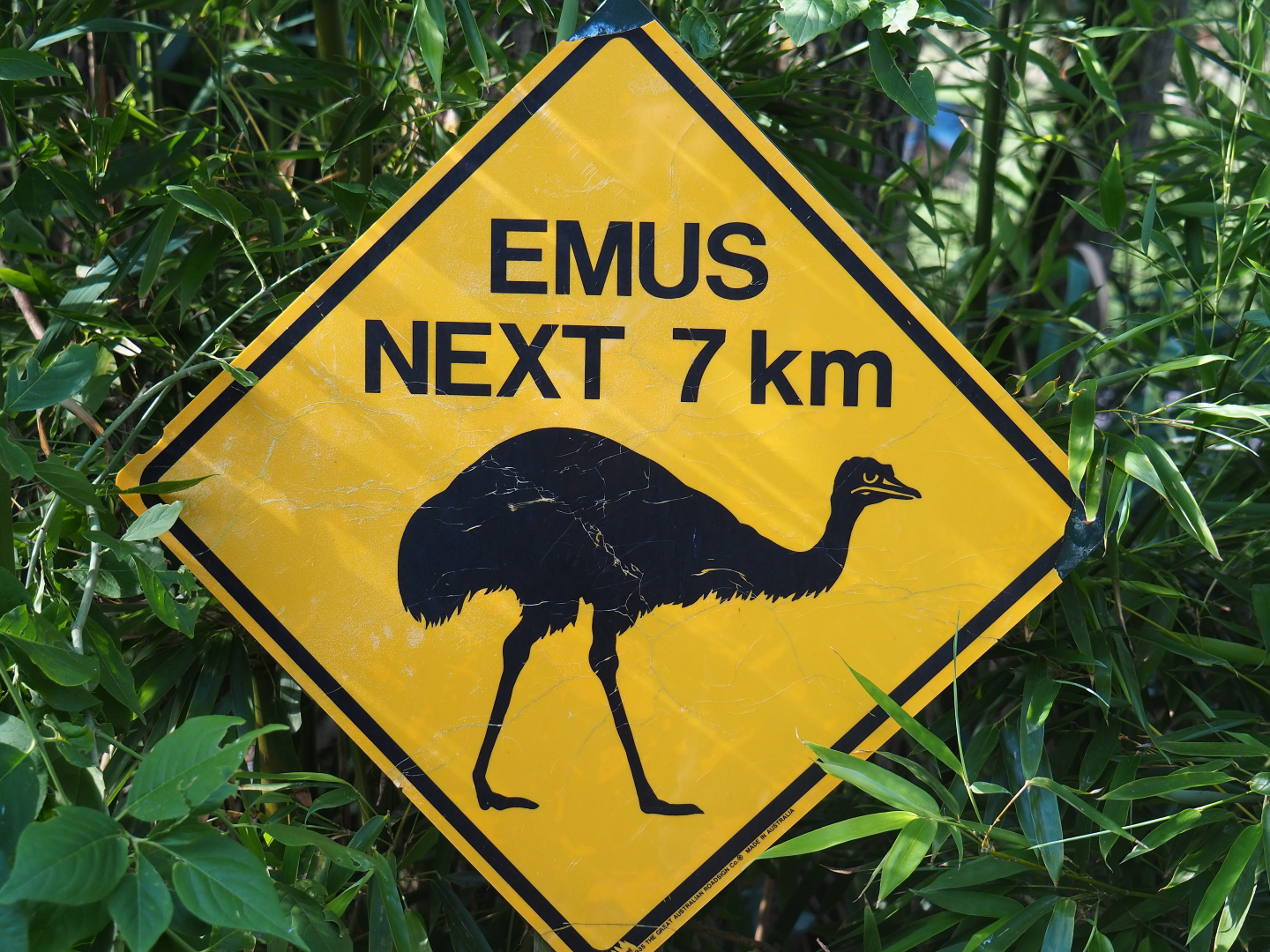 Australian emu road sign, 2019-08-11