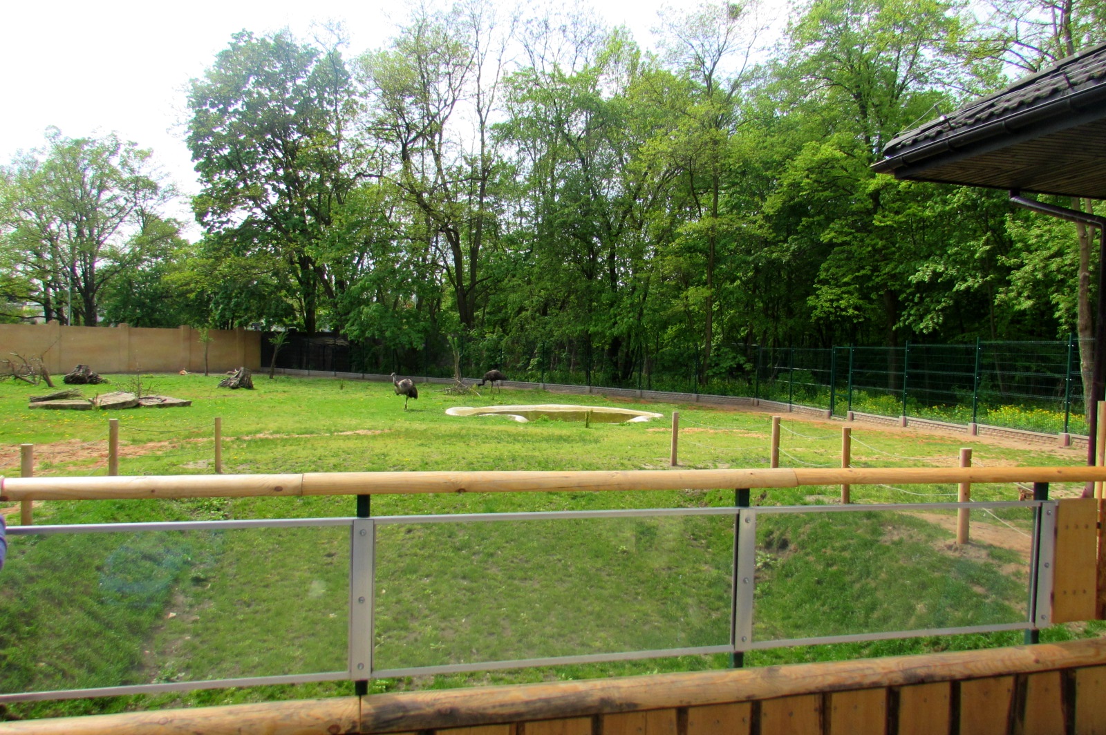 Australian enclosure (emus & red kangaroos) - 05/2015